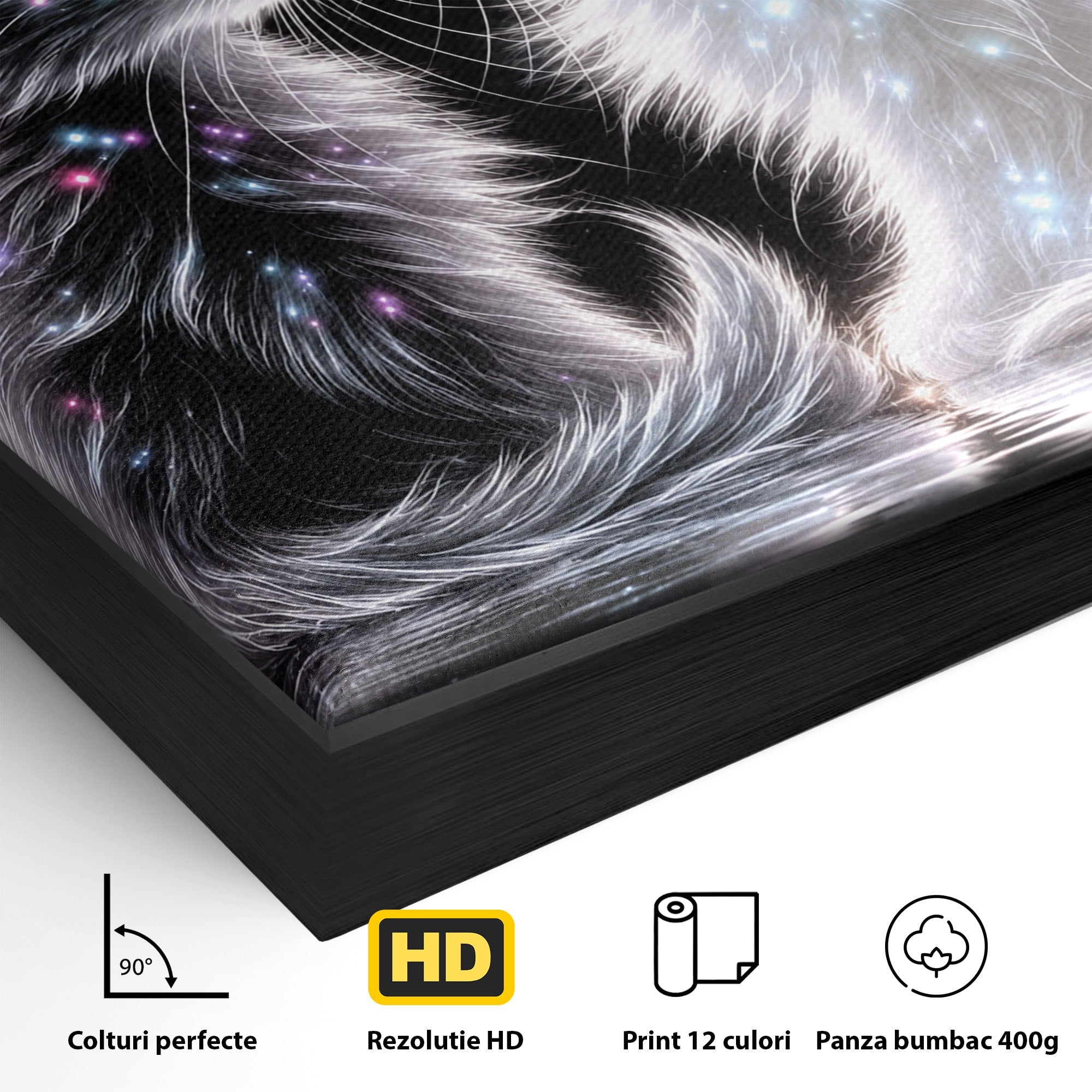 Tablou Canvas Premium LuxCanva® U1185, Pisici Magice, Animale, Pisici, Magie, Living, Dormitor, Culori Vibrante