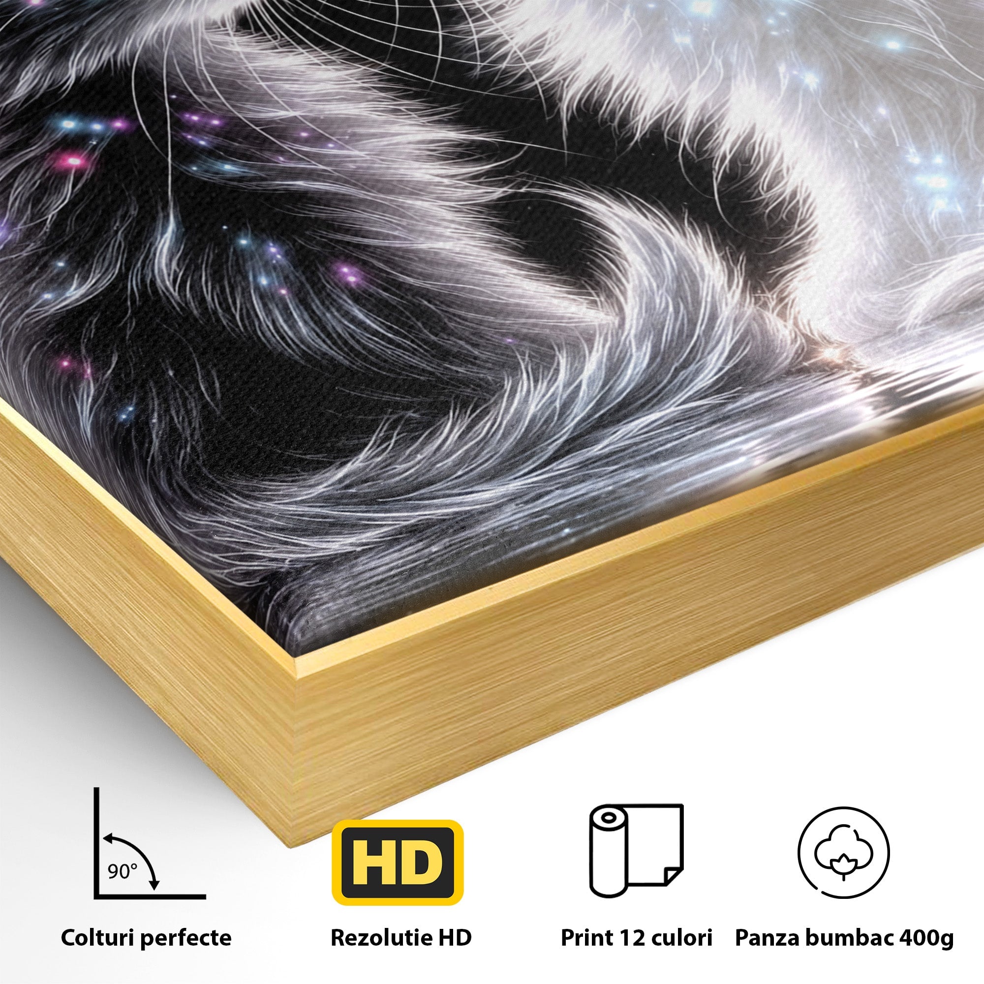 Tablou Canvas Premium LuxCanva® U1185, Pisici Magice, Animale, Pisici, Magie, Living, Dormitor, Culori Vibrante