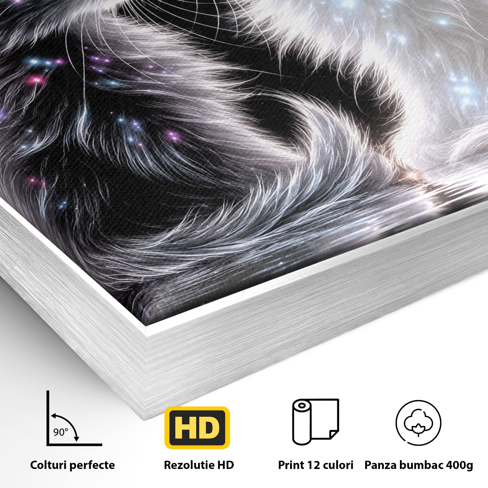 Tablou Canvas Premium LuxCanva® U1185, Pisici Magice, Animale, Pisici, Magie, Living, Dormitor, Culori Vibrante