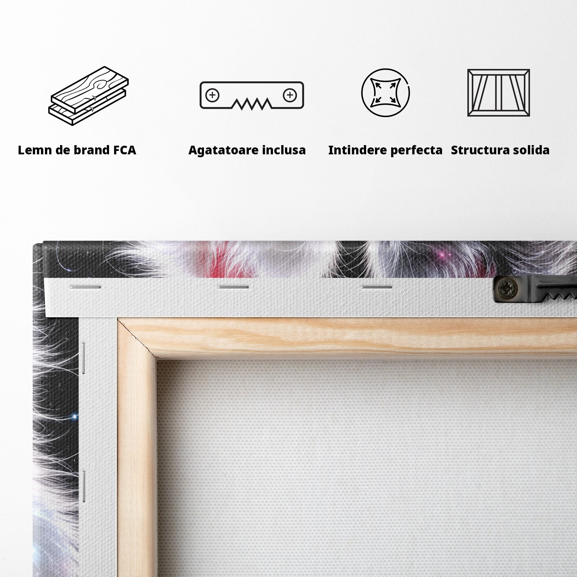 Tablou Canvas Premium LuxCanva® U1185, Pisici Magice, Animale, Pisici, Magie, Living, Dormitor, Culori Vibrante