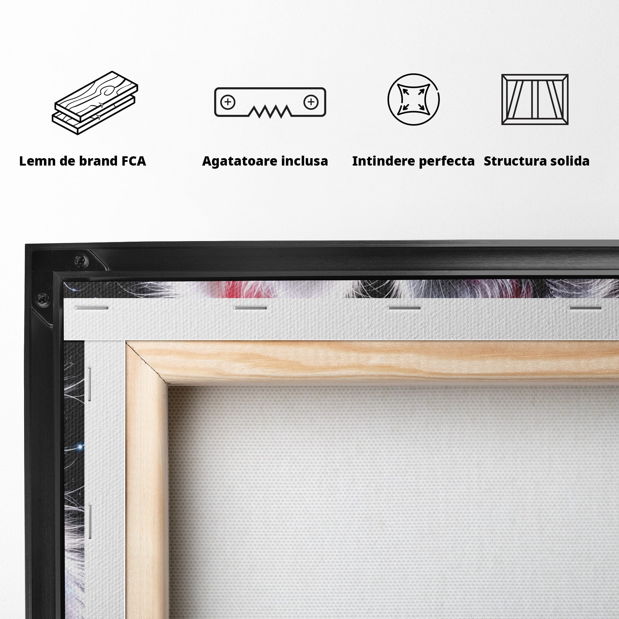 Tablou Canvas Premium LuxCanva® U1185, Pisici Magice, Animale, Pisici, Magie, Living, Dormitor, Culori Vibrante