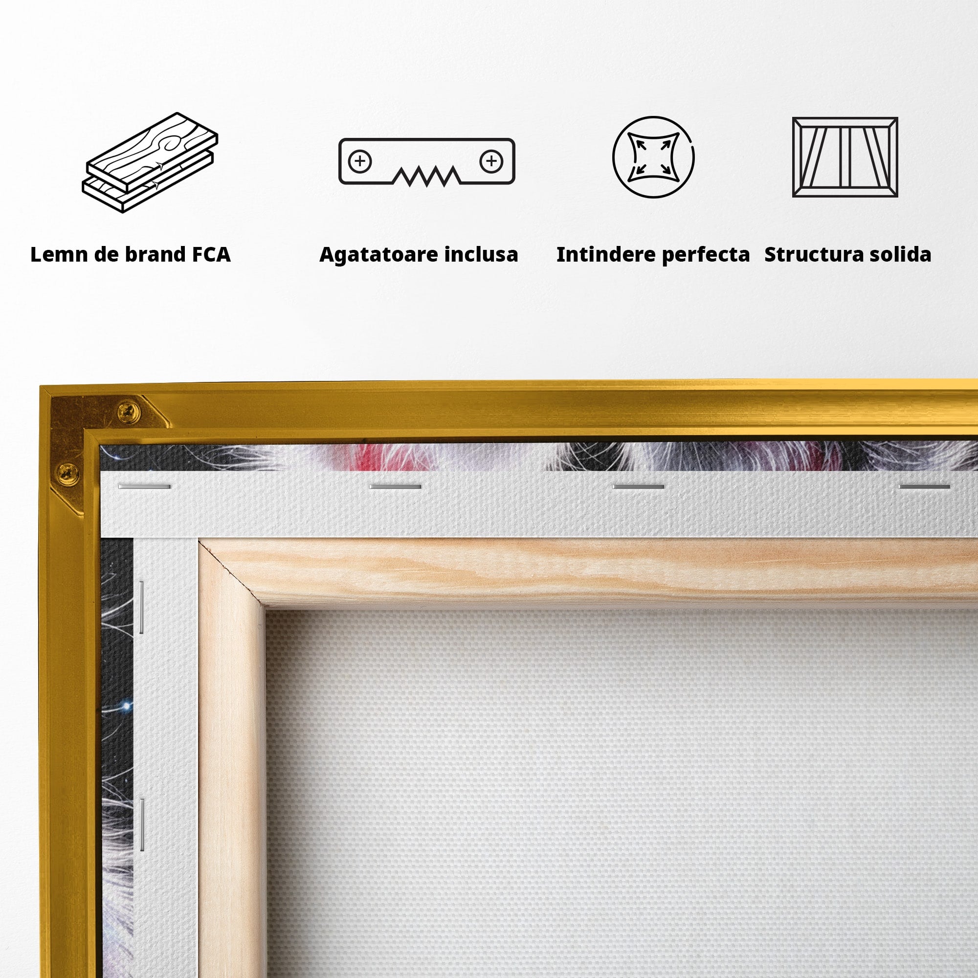 Tablou Canvas Premium LuxCanva® U1185, Pisici Magice, Animale, Pisici, Magie, Living, Dormitor, Culori Vibrante