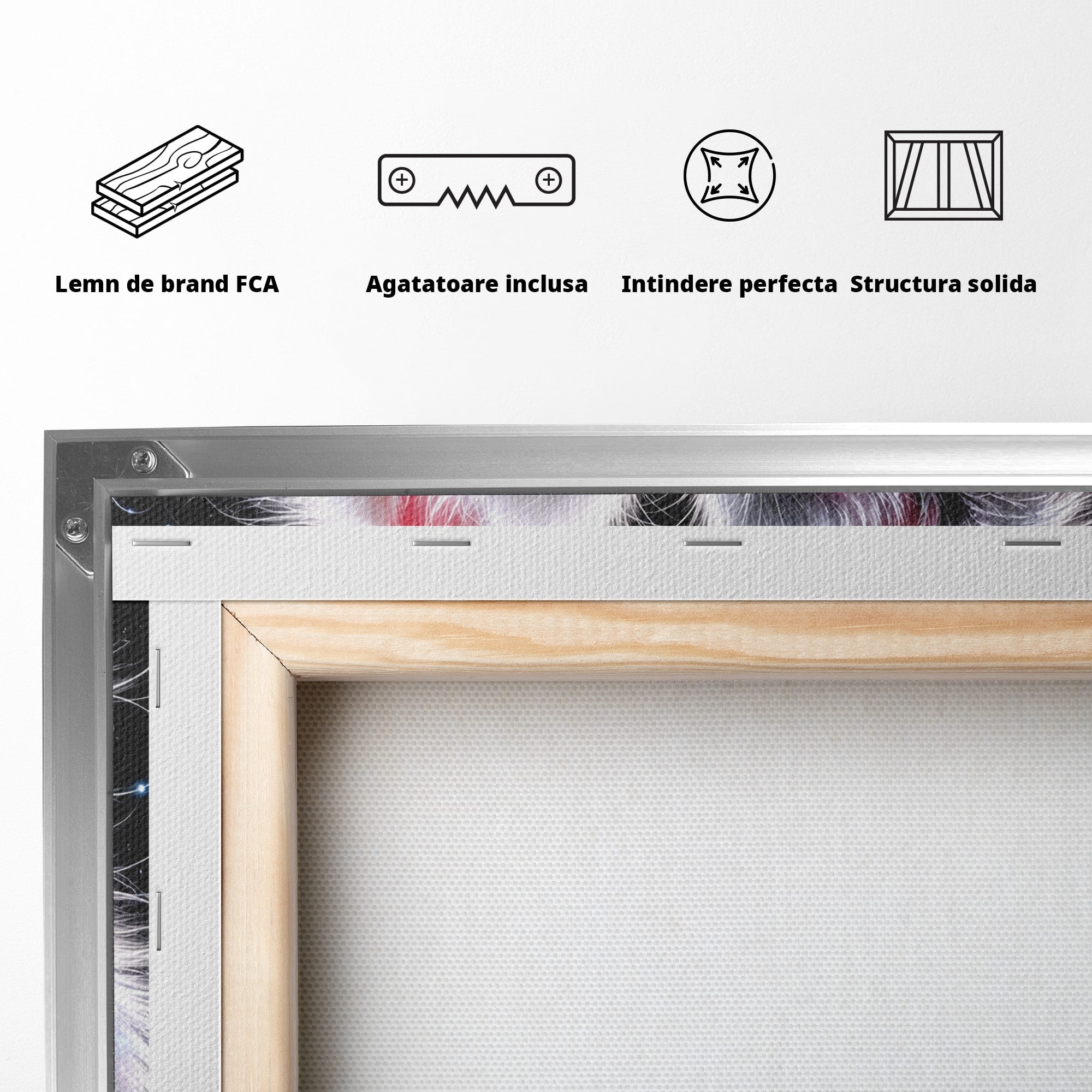 Tablou Canvas Premium LuxCanva® U1185, Pisici Magice, Animale, Pisici, Magie, Living, Dormitor, Culori Vibrante