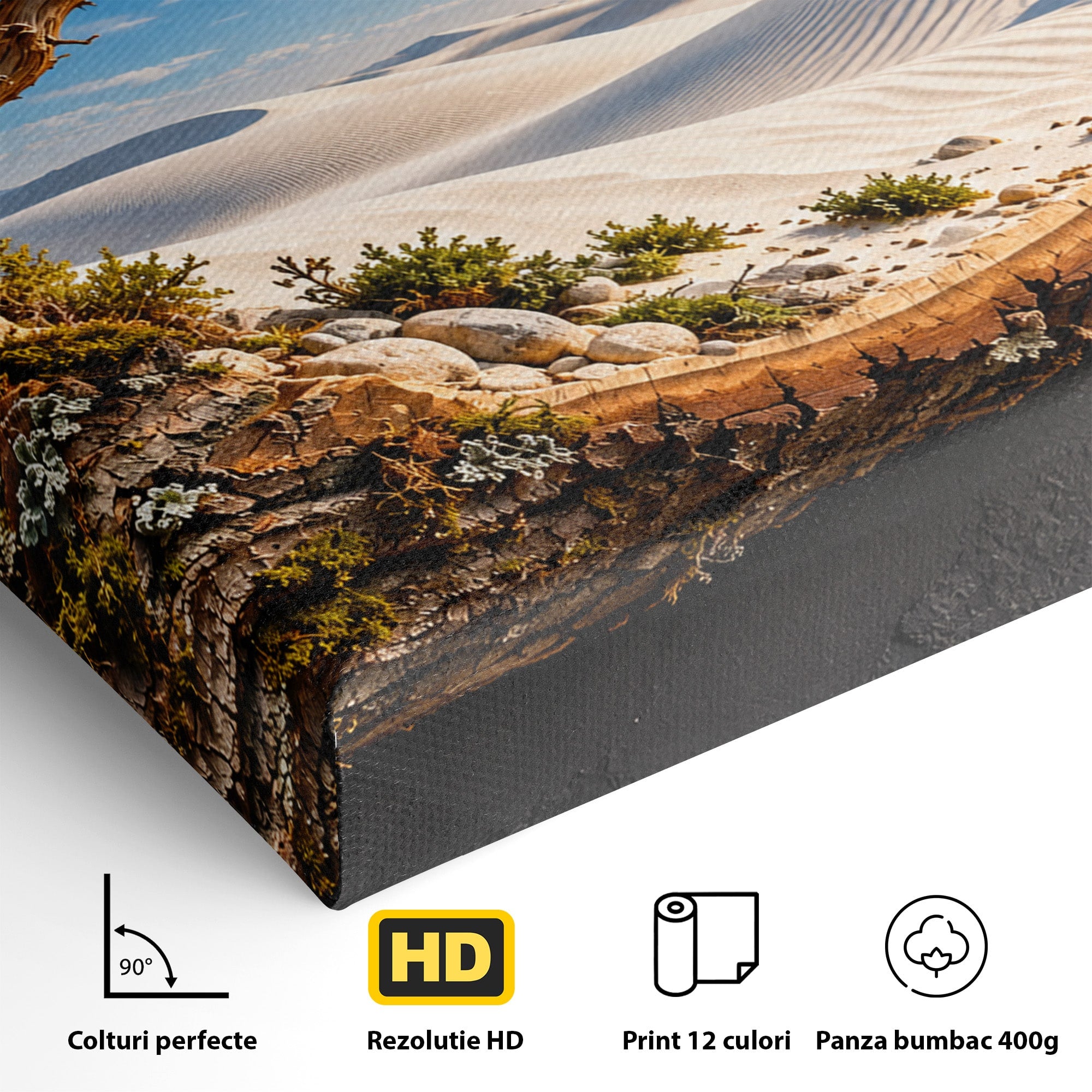 Tablou Canvas Premium LuxCanva® U1192, Desertul Vazut Printr-un Trunchi, Peisaj, Natura, Trunchi, Desert, Living, Culori Vibrante