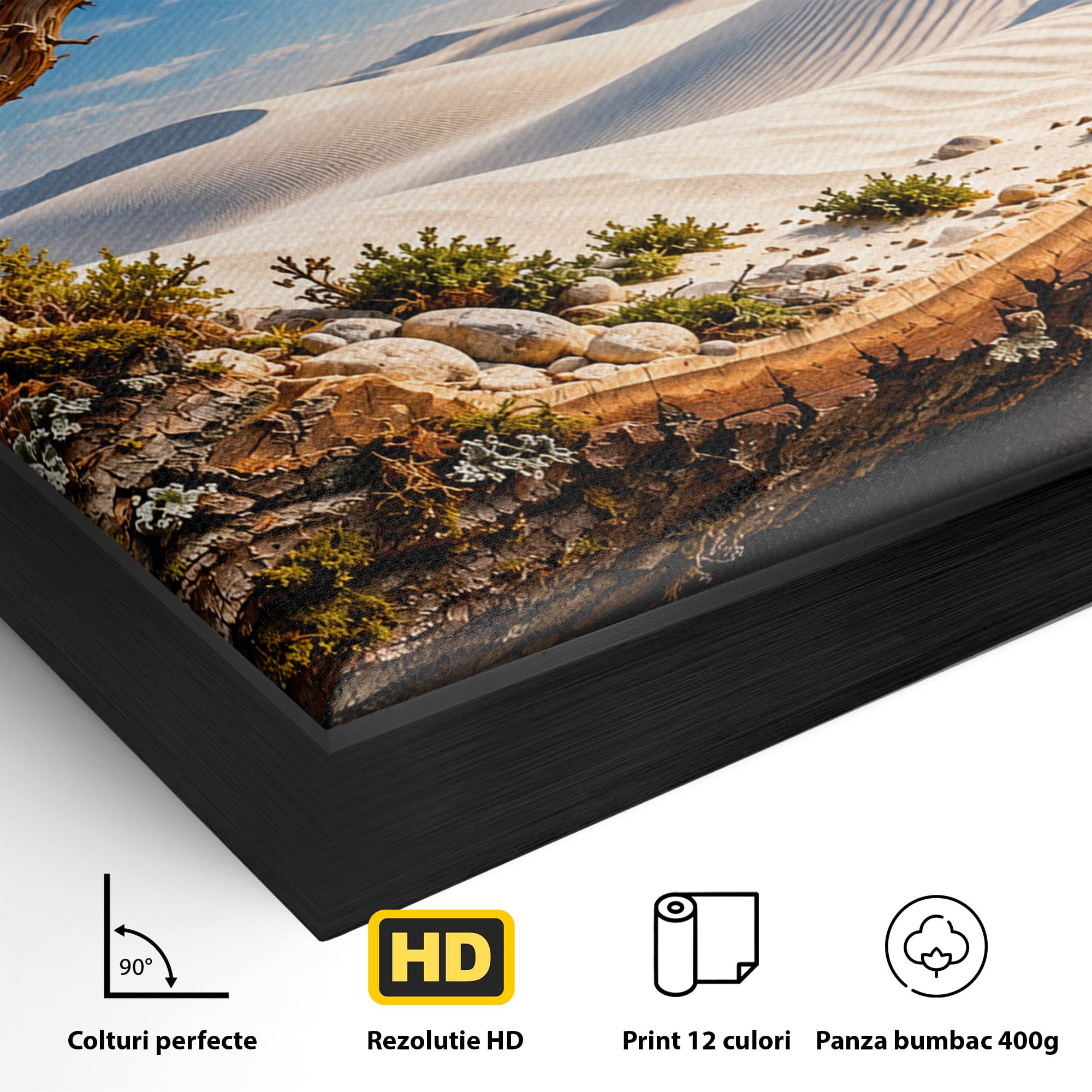 Tablou Canvas Premium LuxCanva® U1192, Desertul Vazut Printr-un Trunchi, Peisaj, Natura, Trunchi, Desert, Living, Culori Vibrante