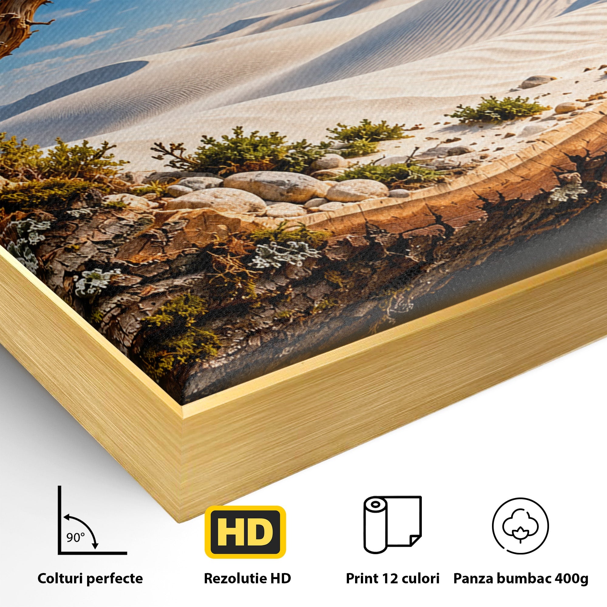 Tablou Canvas Premium LuxCanva® U1192, Desertul Vazut Printr-un Trunchi, Peisaj, Natura, Trunchi, Desert, Living, Culori Vibrante
