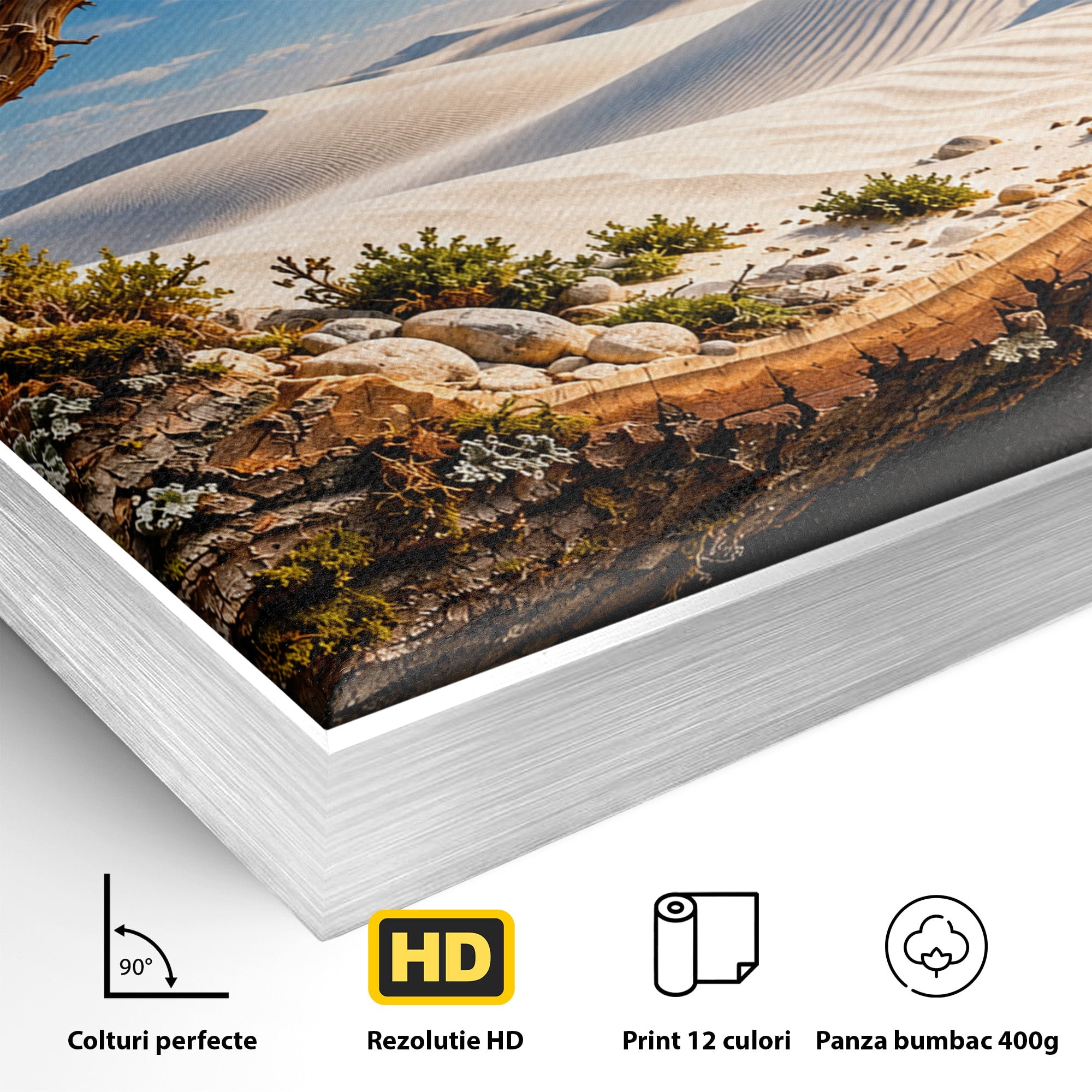 Tablou Canvas Premium LuxCanva® U1192, Desertul Vazut Printr-un Trunchi, Peisaj, Natura, Trunchi, Desert, Living, Culori Vibrante