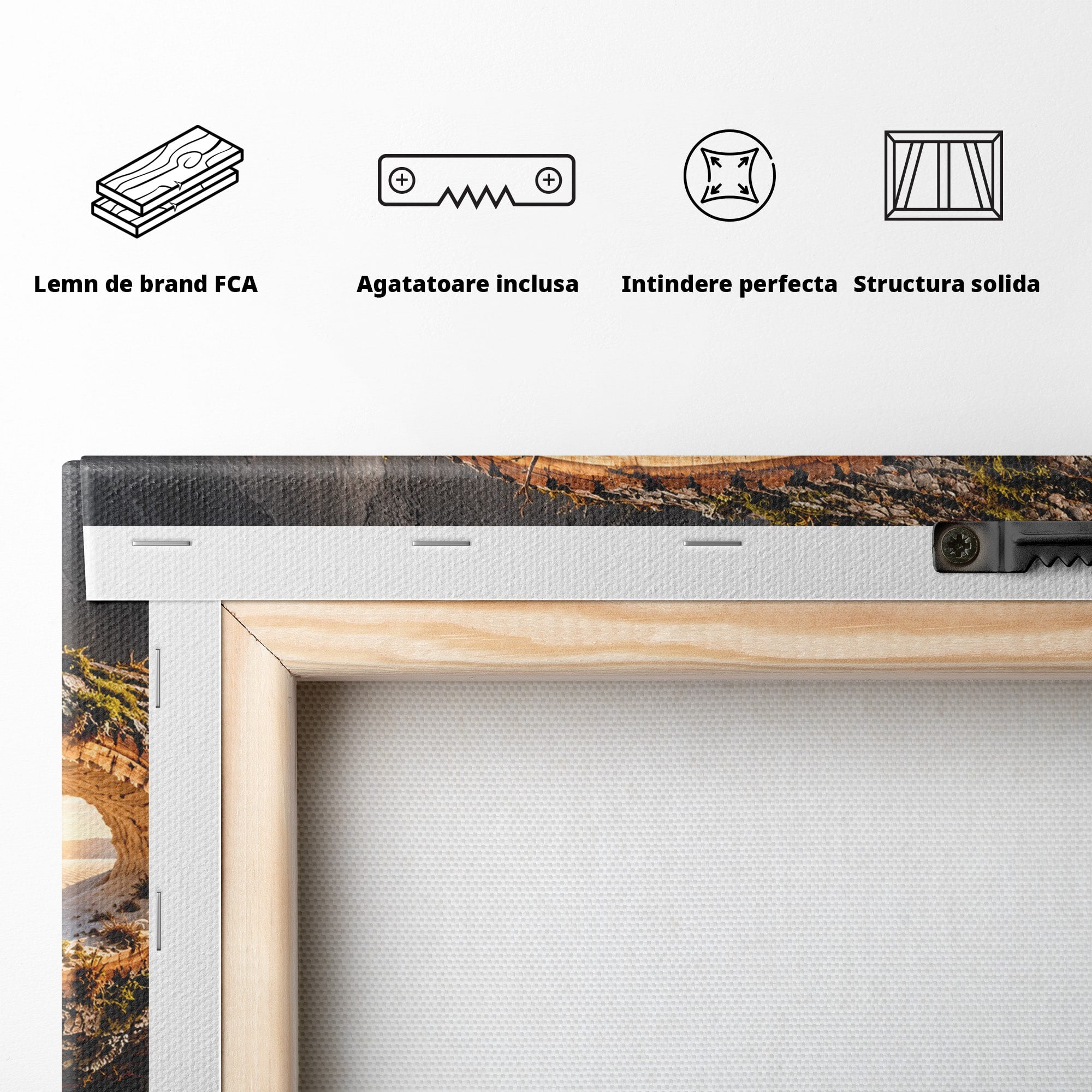 Tablou Canvas Premium LuxCanva® U1192, Desertul Vazut Printr-un Trunchi, Peisaj, Natura, Trunchi, Desert, Living, Culori Vibrante