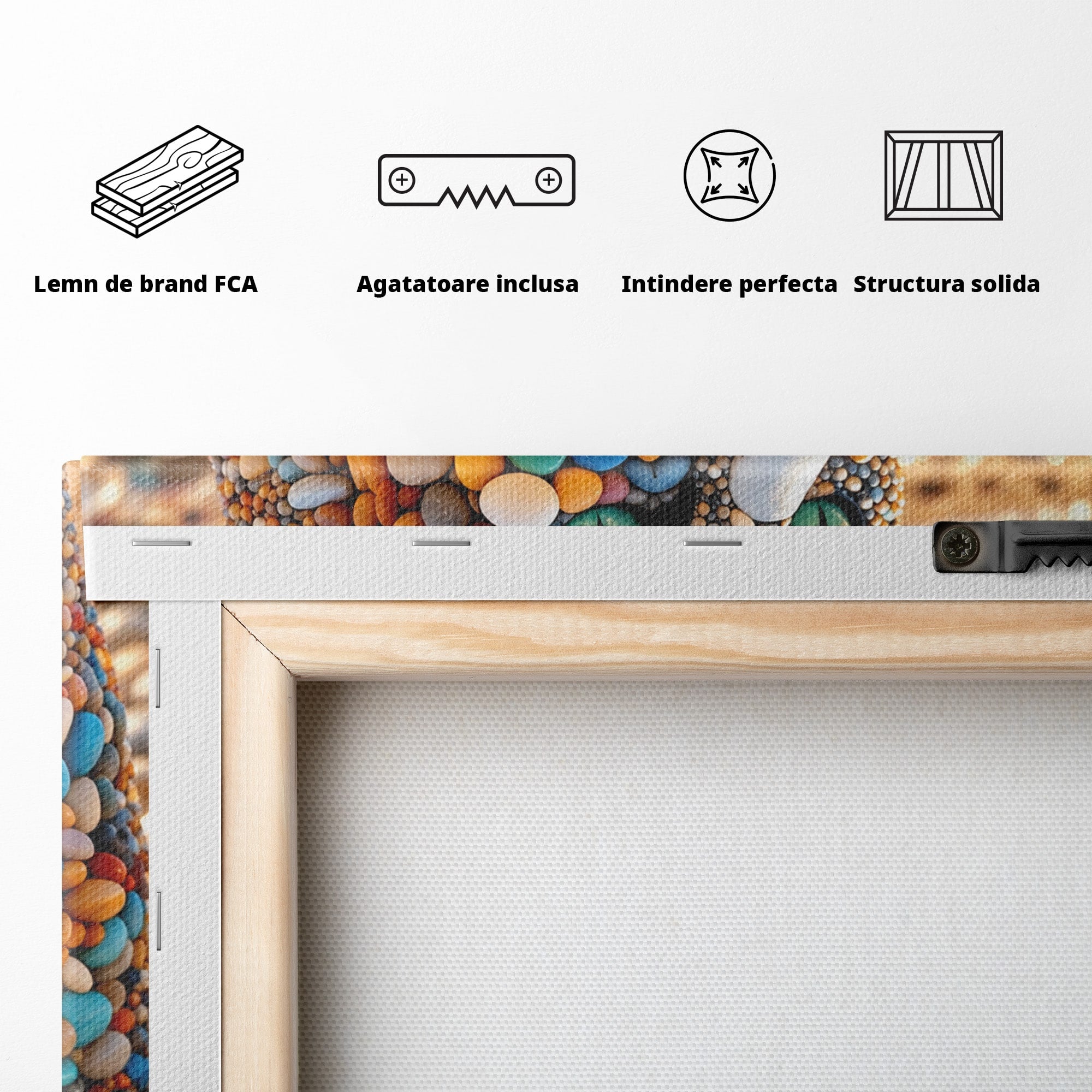 Tablou Canvas Premium LuxCanva® U1219, Pisica Din Pietricele, Pisica, Plaja, Pietre, Animale, Living, Culori Vibrante