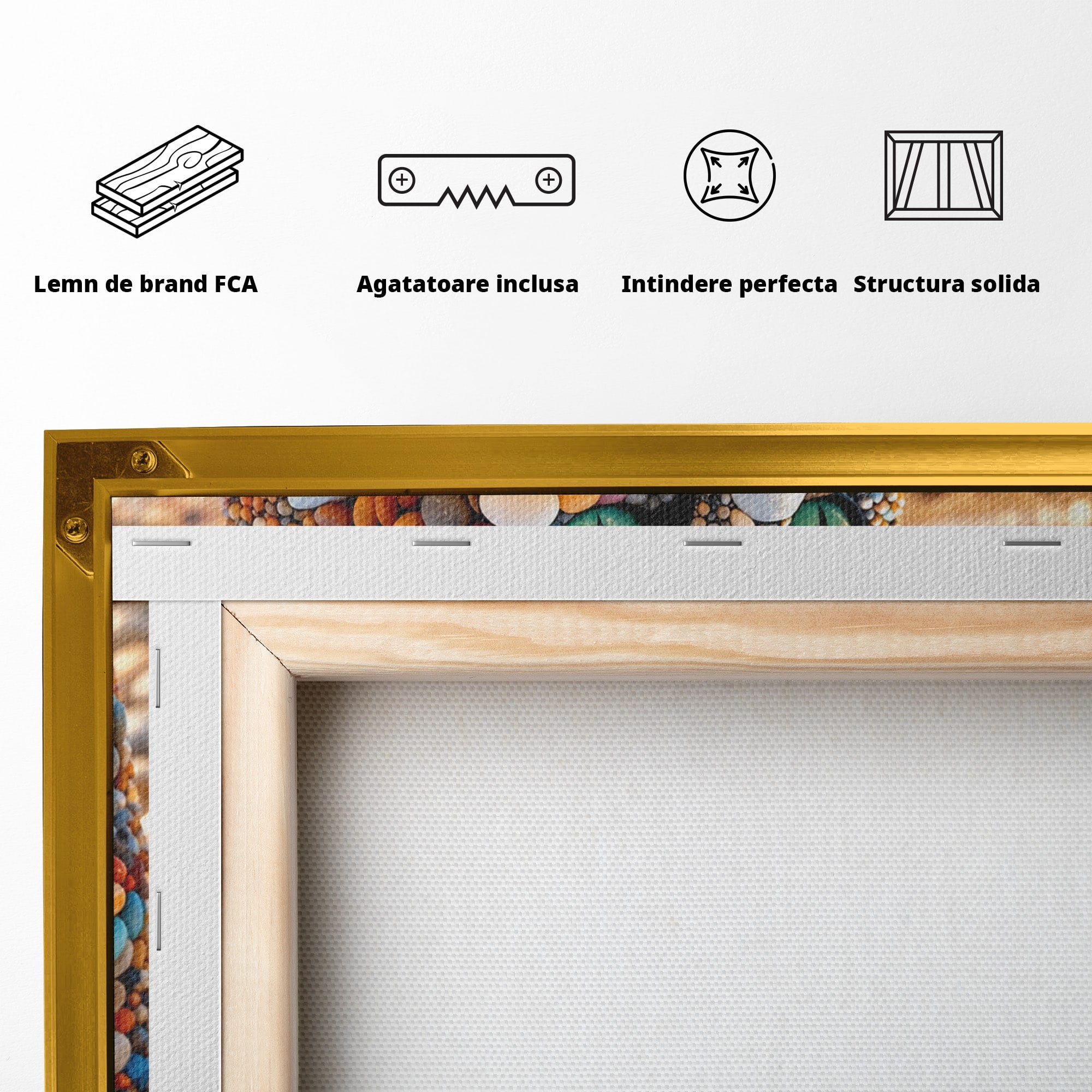 Tablou Canvas Premium LuxCanva® U1219, Pisica Din Pietricele, Pisica, Plaja, Pietre, Animale, Living, Culori Vibrante
