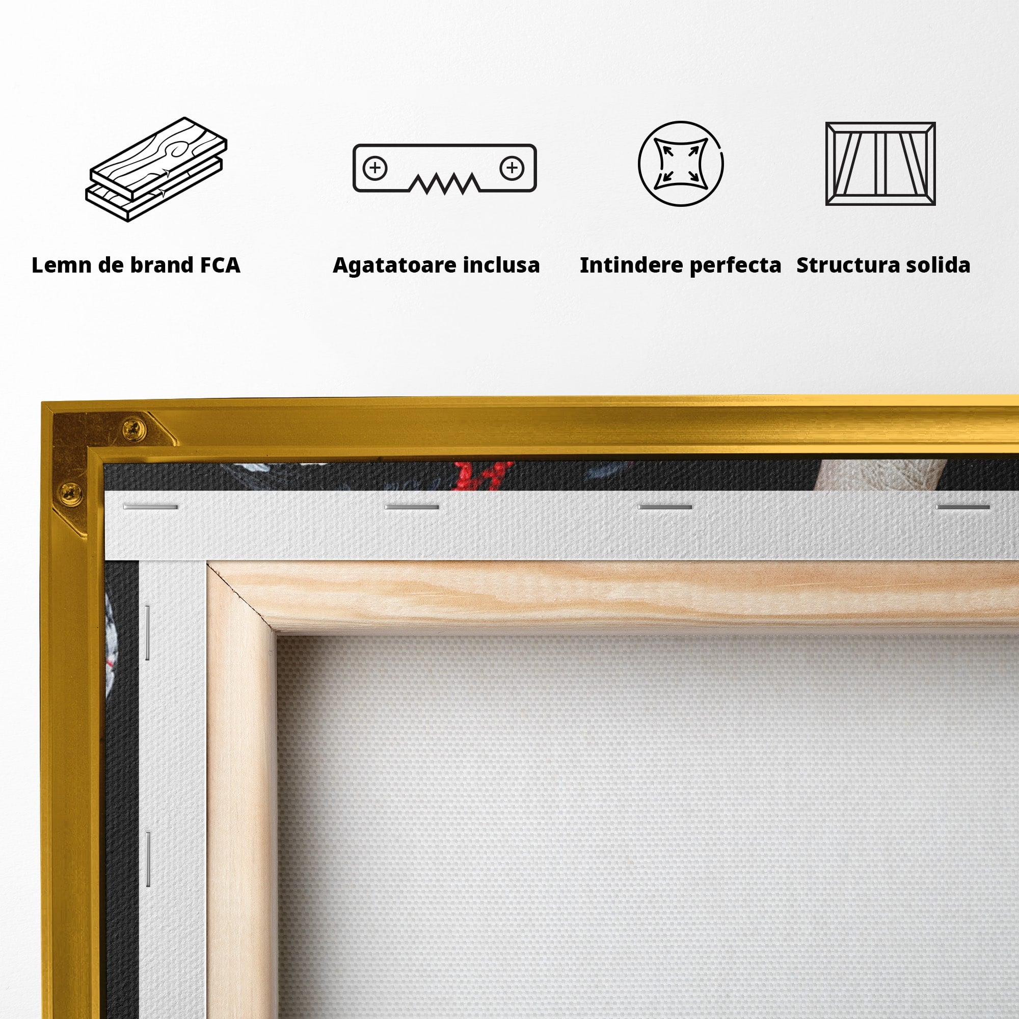 Tablou Canvas Premium LuxCanva® U1221, Iubire Contrastanta, Cuplu, Inima, Contrast, Iubire, Dormitor, Culori Vibrante