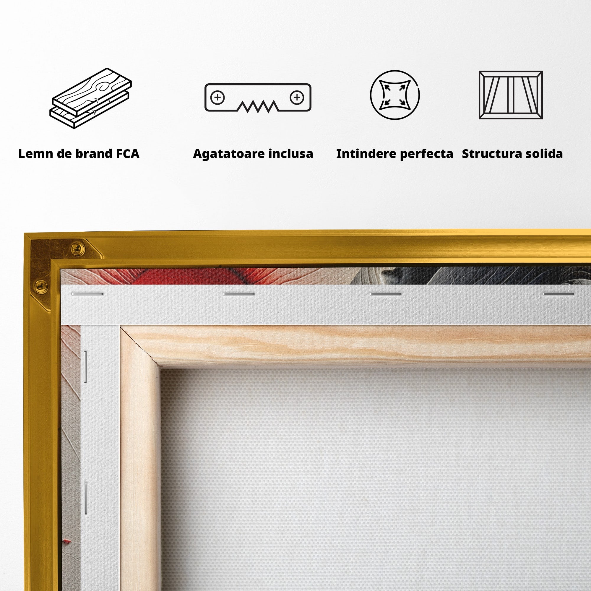 Tablou Canvas Premium LuxCanva® U1222, Misterul Florilor Rosii, Femeie, Flori, Soare, Mister, Living, Culori Vibrante