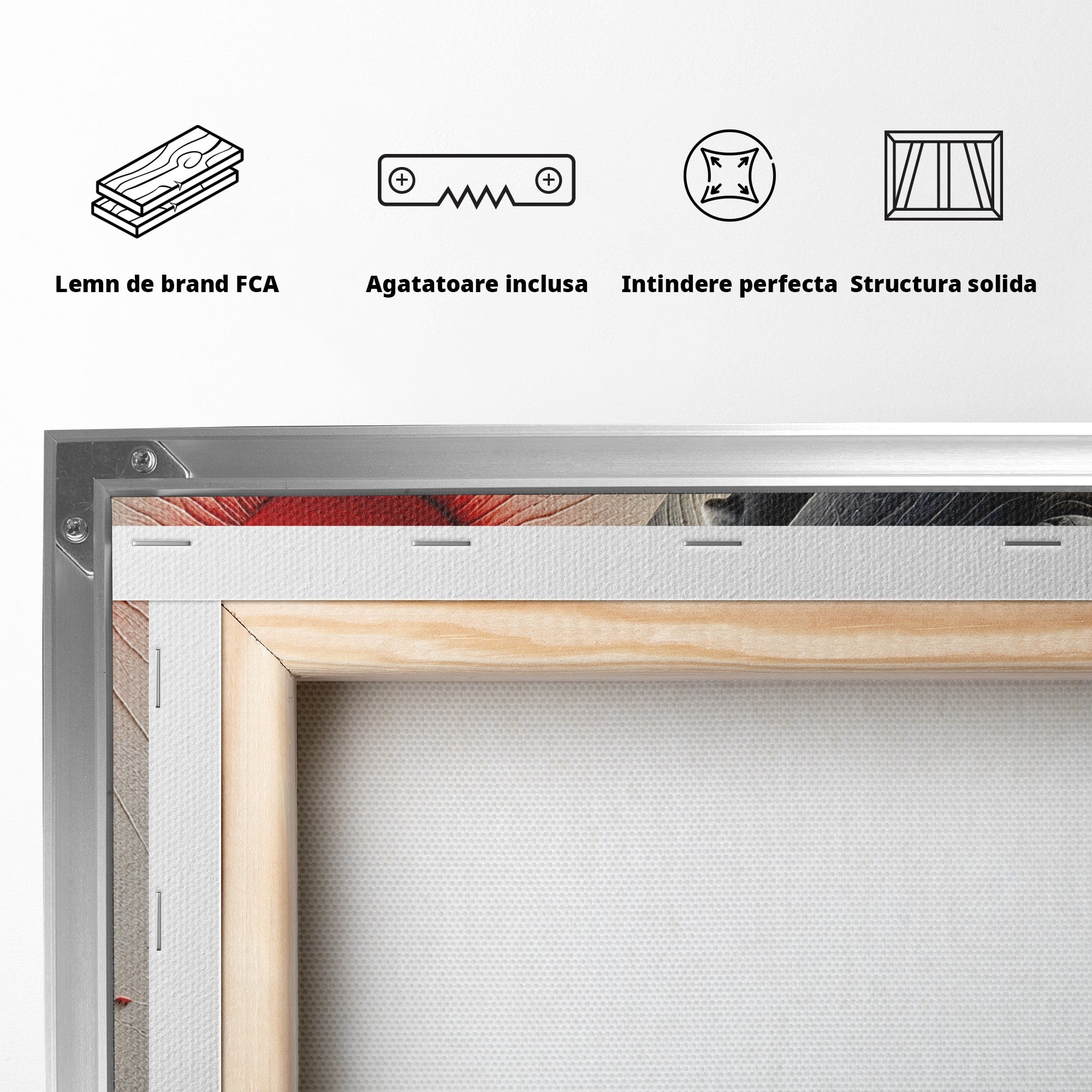 Tablou Canvas Premium LuxCanva® U1222, Misterul Florilor Rosii, Femeie, Flori, Soare, Mister, Living, Culori Vibrante