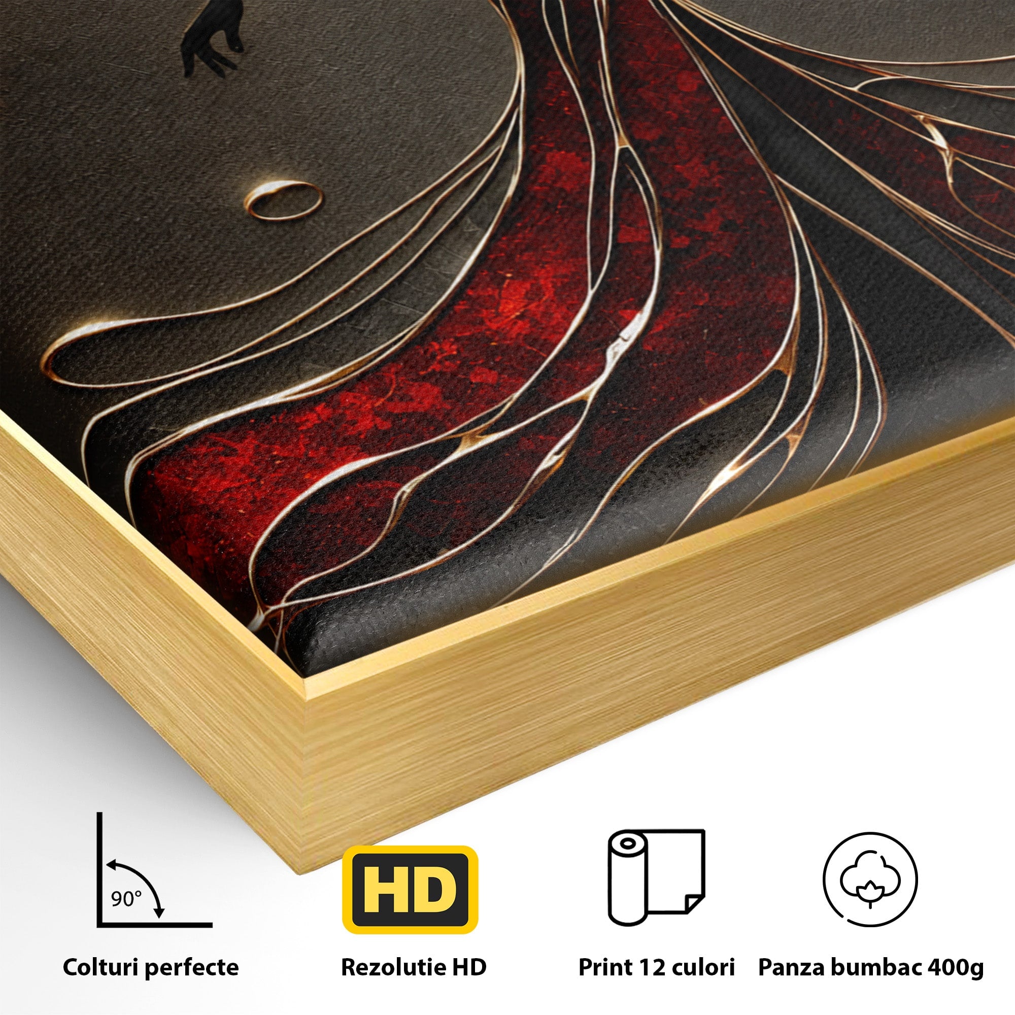 Tablou Canvas Premium LuxCanva® U1232, Dansatoare in Rosu, Femeie, Moda, Silhouette, Eleganta, Living, Culori Vibrante
