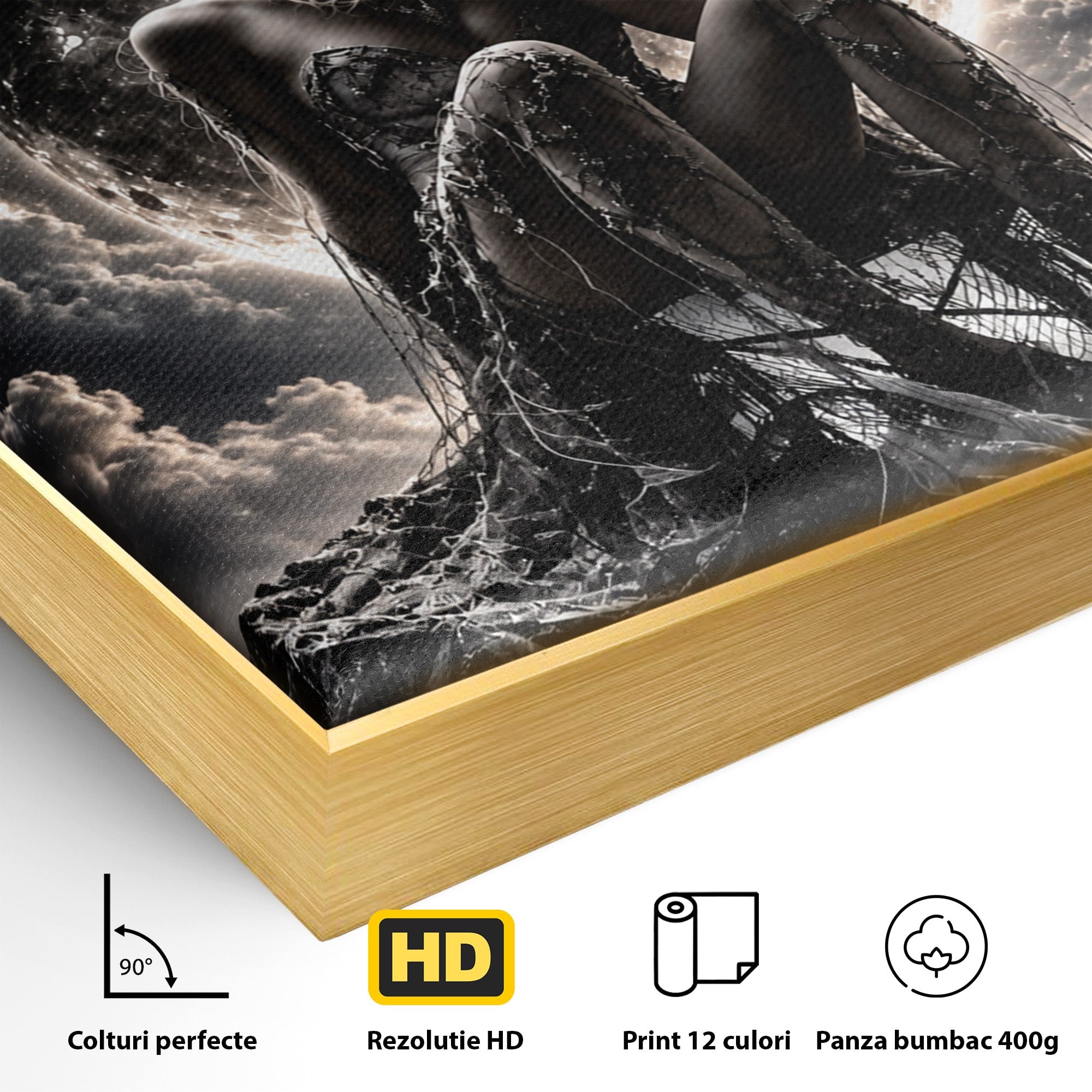 Tablou Canvas Premium LuxCanva® U1234, Luna Misterioasa, Luna, Femeie, Mister, Noapte, Dormitor, Culori Vibrante