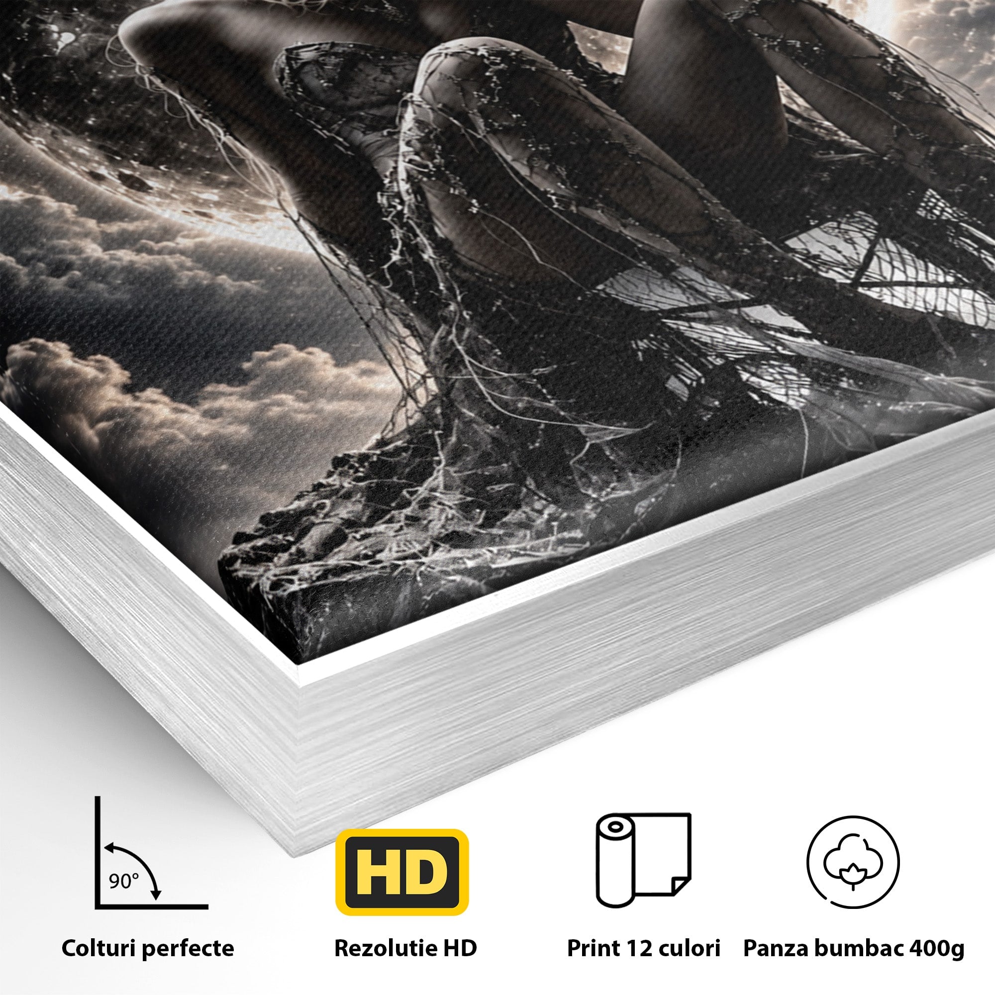 Tablou Canvas Premium LuxCanva® U1234, Luna Misterioasa, Luna, Femeie, Mister, Noapte, Dormitor, Culori Vibrante