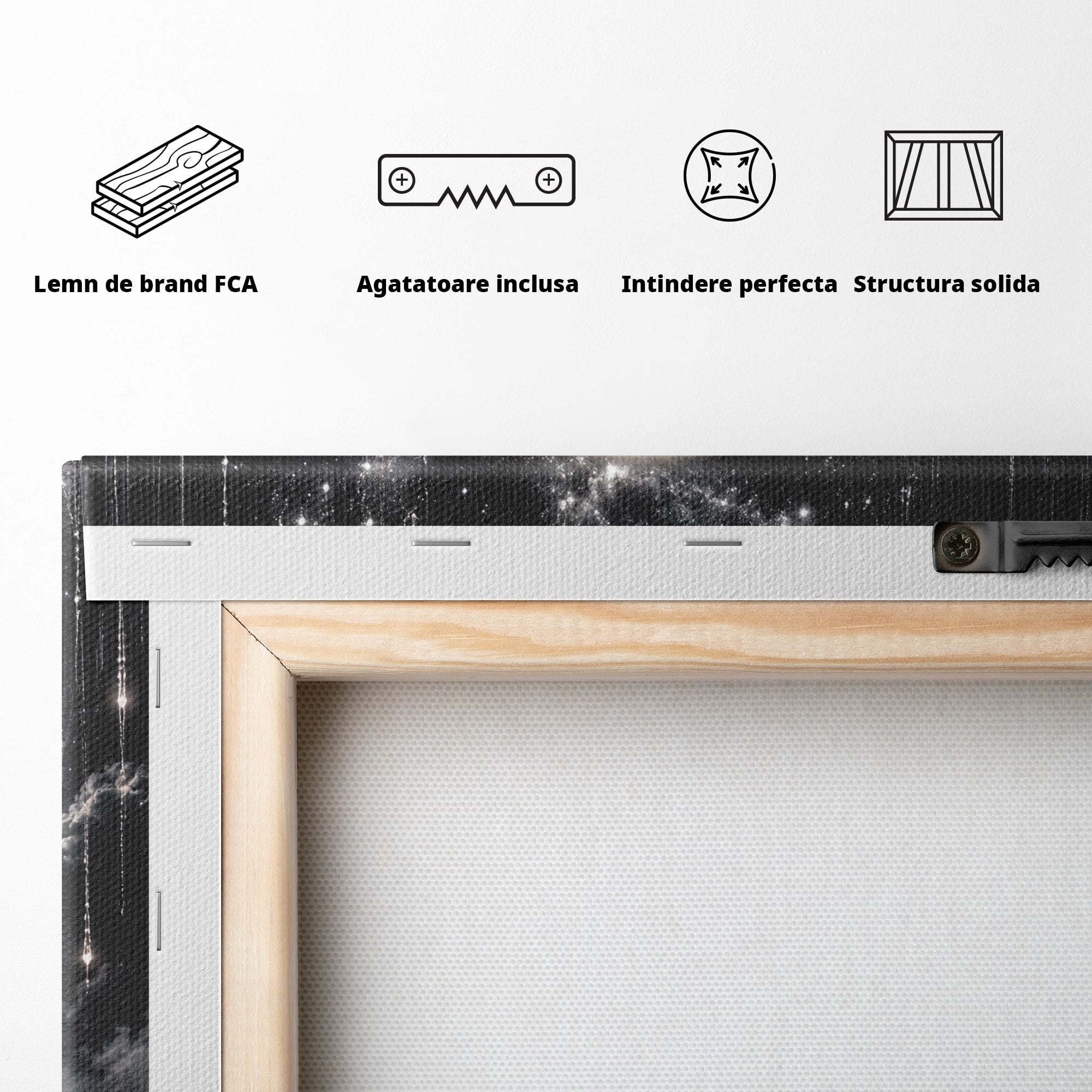 Tablou Canvas Premium LuxCanva® U1234, Luna Misterioasa, Luna, Femeie, Mister, Noapte, Dormitor, Culori Vibrante