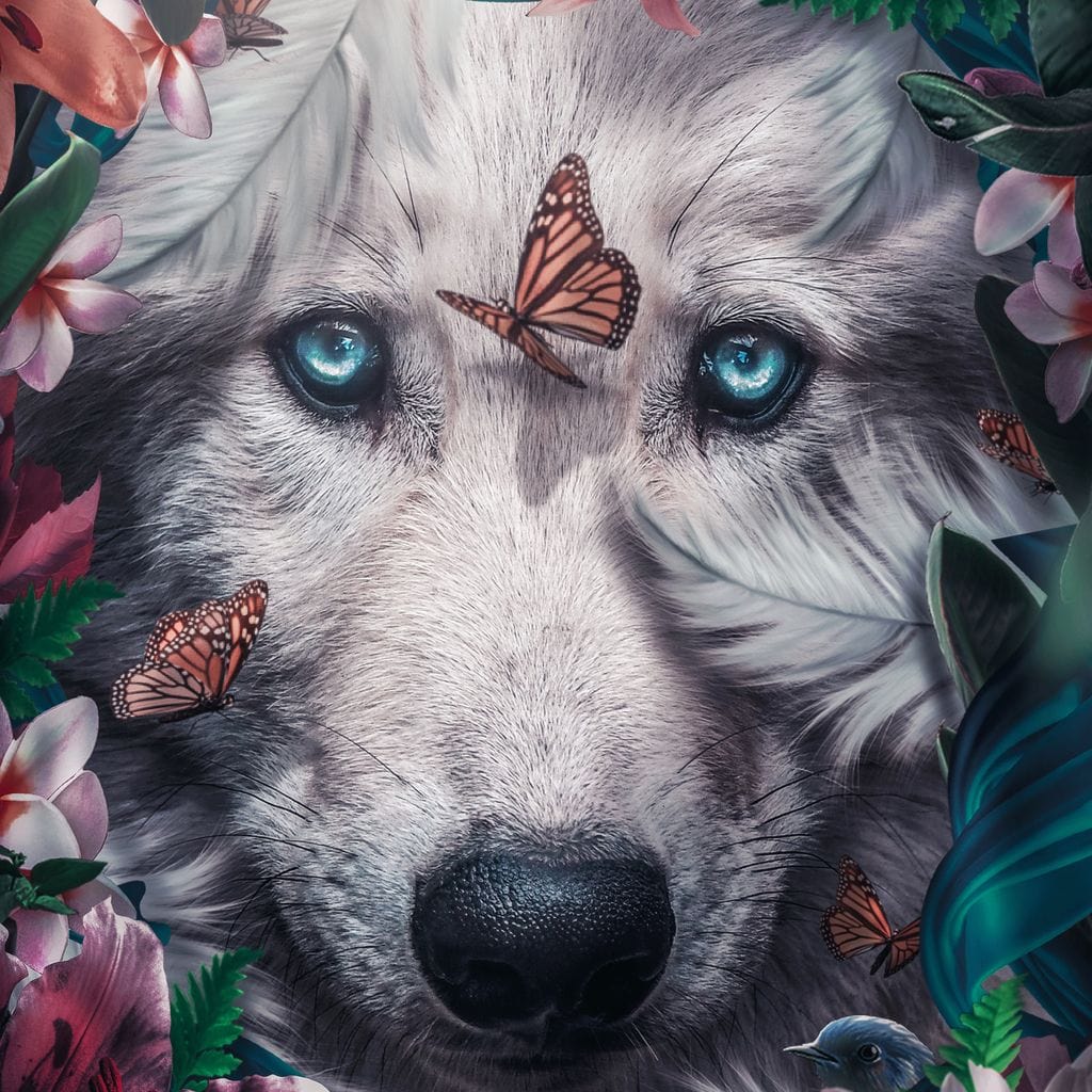 tablou canvas cu un chip de lup cu ochi albastri, printre flori multicolore si cu fluturi in zbor
