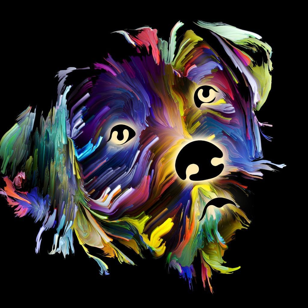 tablou canvas cu un portret expresiv de catel redat in tuse vibrante de culoare pe fundal negru, in stil modern si abstract