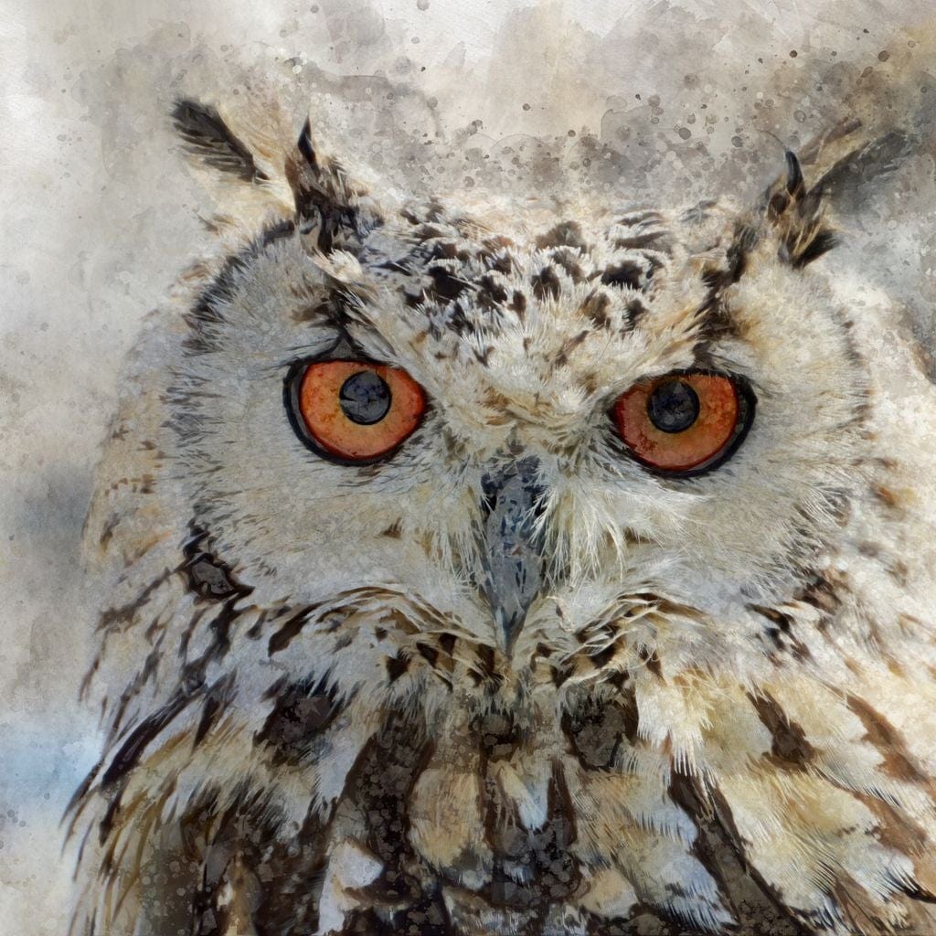 tablou canvas cu o bufnita alba cu ochi portocalii pe fundal in tonuri deschise