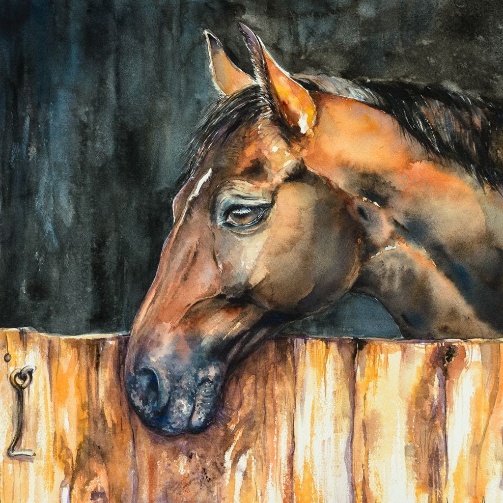 tablou canvas cu un cal maro surprins din profil, relaxat pe un gard de lemn, pe fundal intunecat si rustic