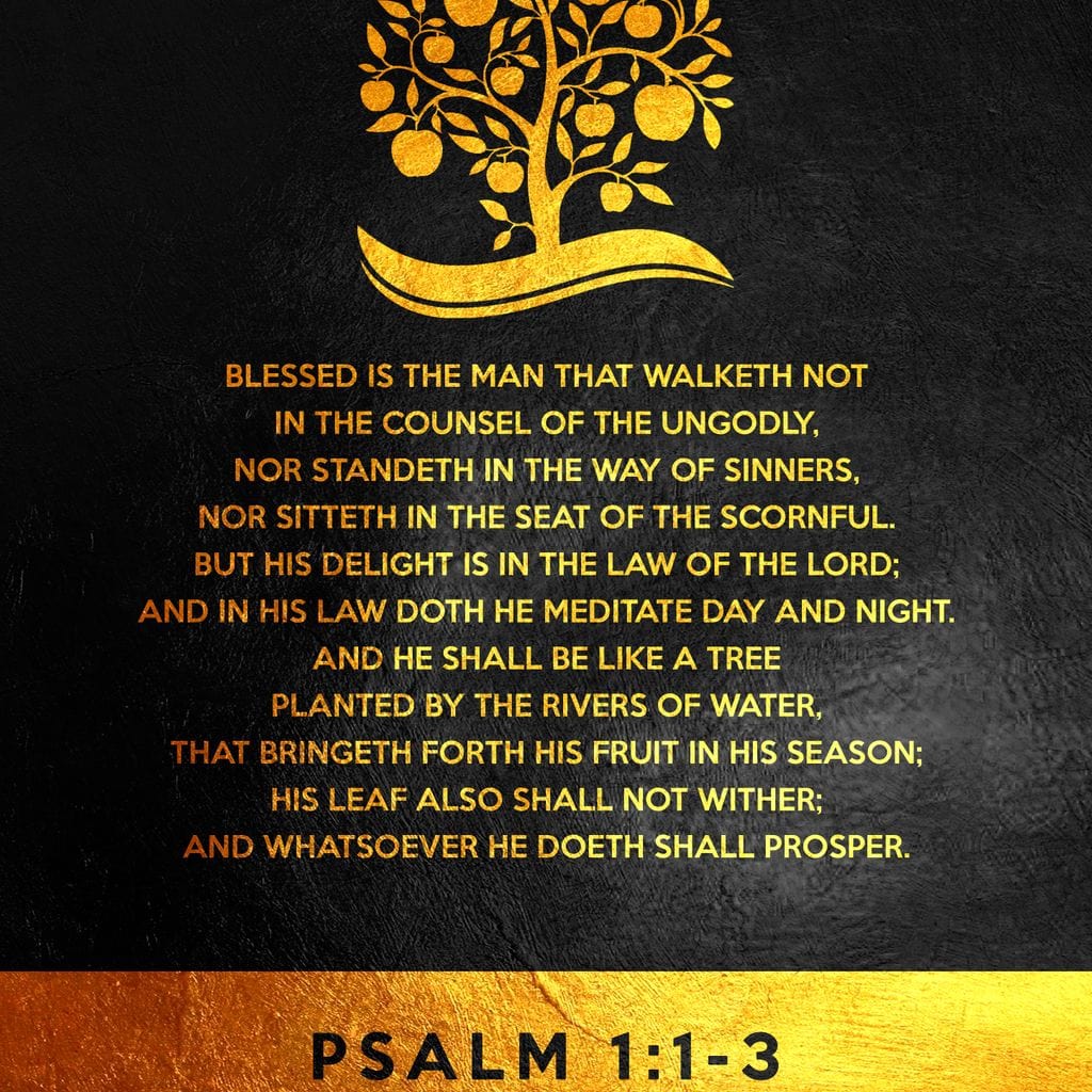 Tablou Canvas Premium LuxCanva® F1036, Dreptatea Aduce Roade , Prosperitate, Copac, Stabilitate, Statornic, Living Room, Birou, Culori vibrante