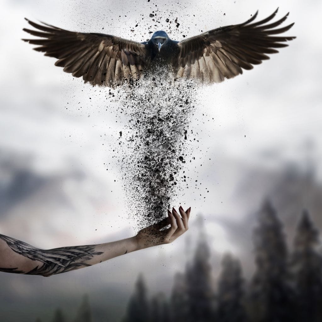 tablou canvas cu o pasare care renaste din cenusa in palma unei maini tatuate, pe fundal cu ceata si copaci