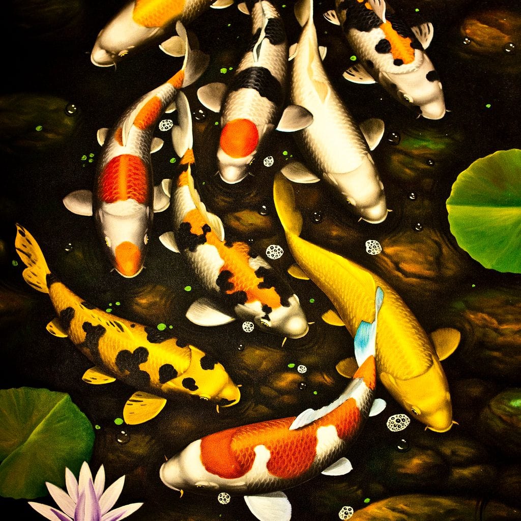 tablou canvas cu un grup de pesti koi intr-un iaz cu nuferi