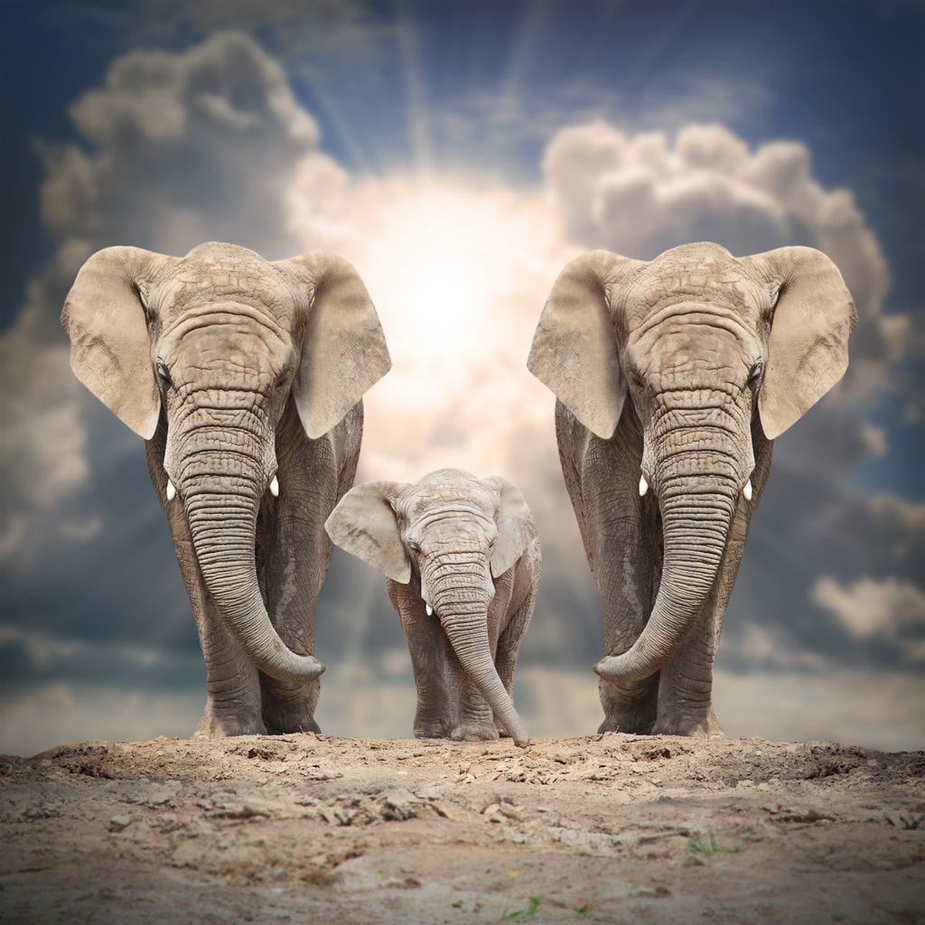 tablou canvas cu trei elefanti redati realist intr-o compozitie luminoasa, pe fundal cu cer albastru si nori