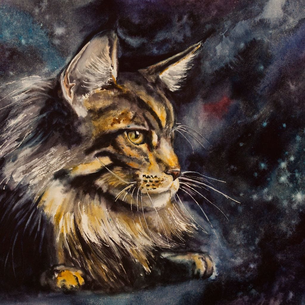 tablou canvas cu un cap de pisica, pe fundal cosmic plin de stele si multicolor