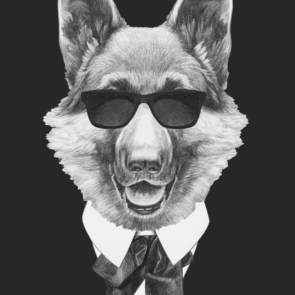 tablou canvas cu un caine, purtand ochelari de soare si costum cu papion, redat in alb si negru, pe fundal inchis