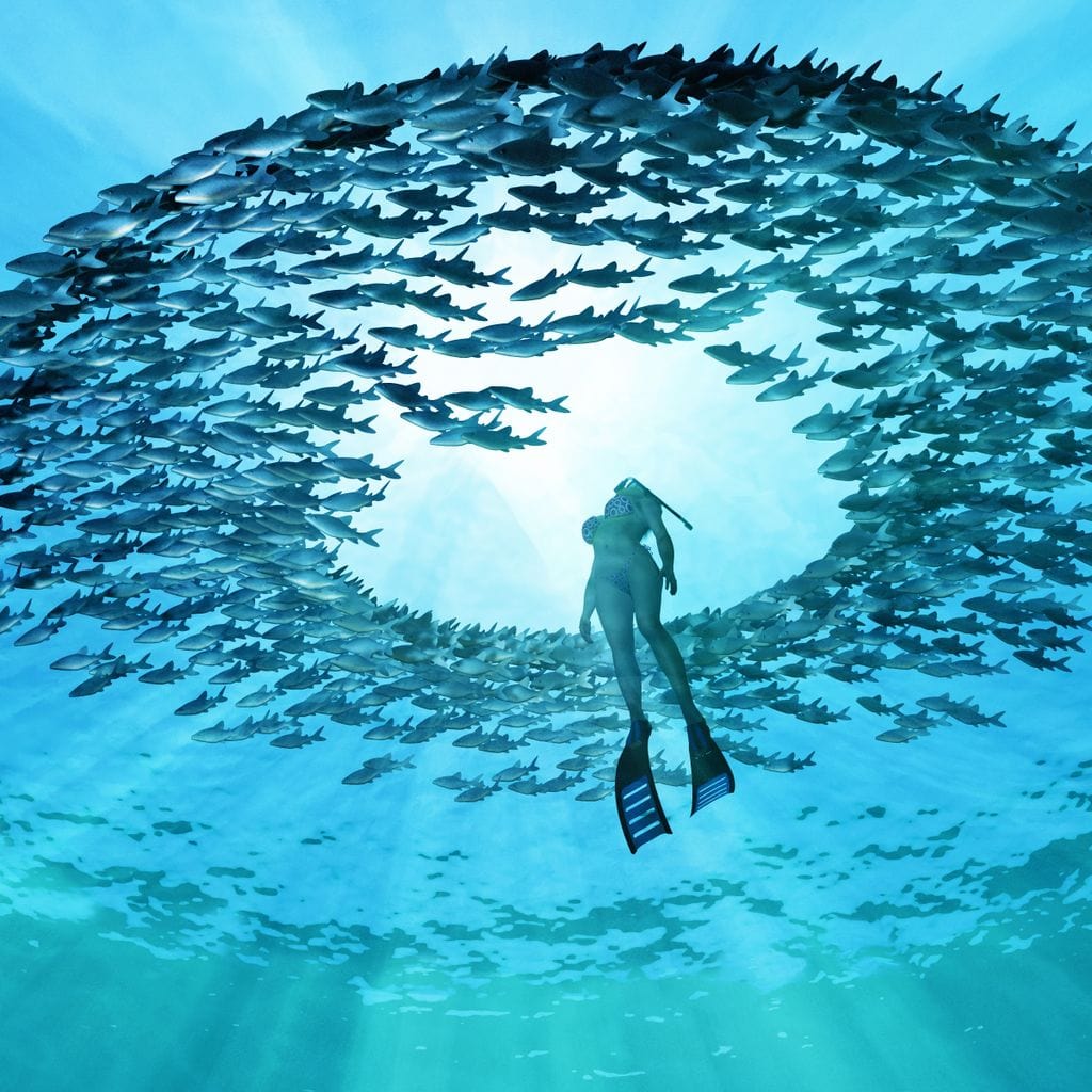 tablou canvas cu un scafandru inconjurat de multi pesti, in adancurile oceanului strapuns de raze de lumina