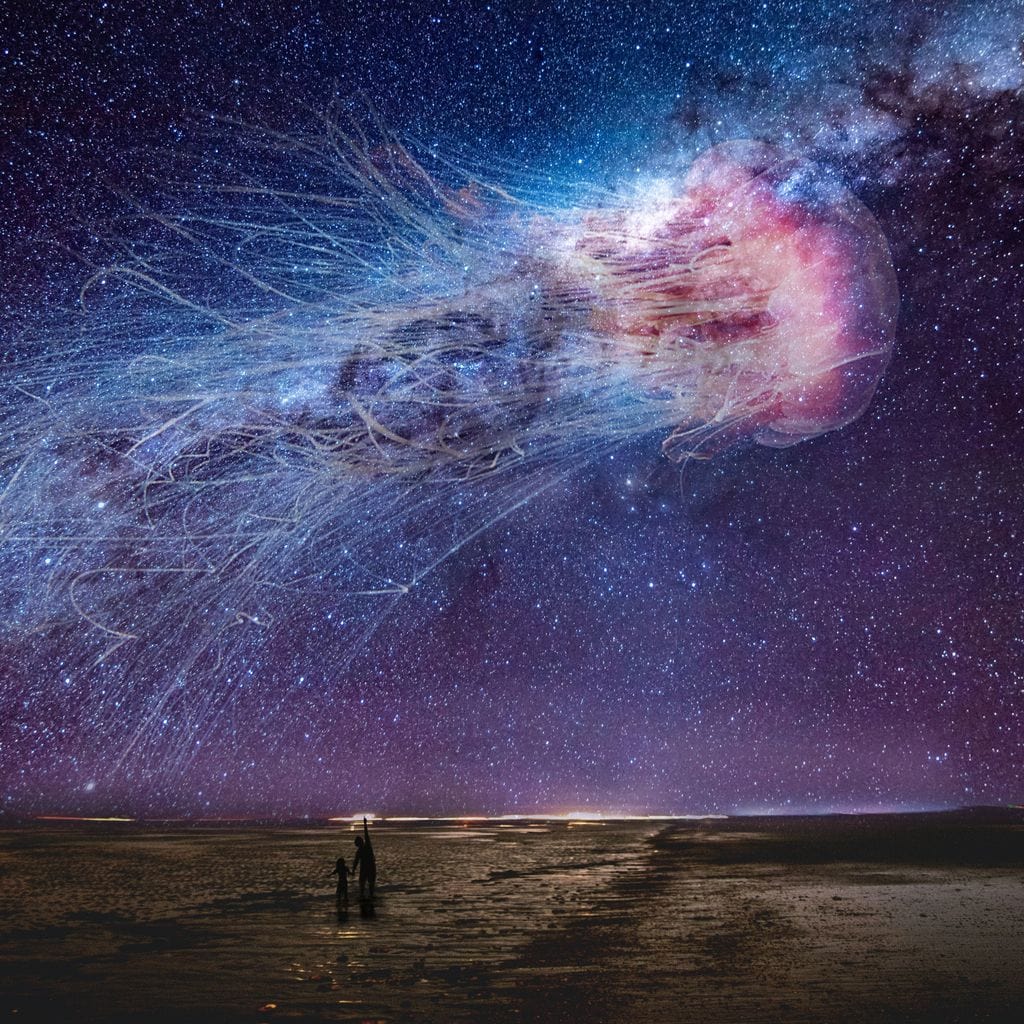 tablou canvas cu o meduza uriasa traversand cerul instelat, fiind privita de doi copii