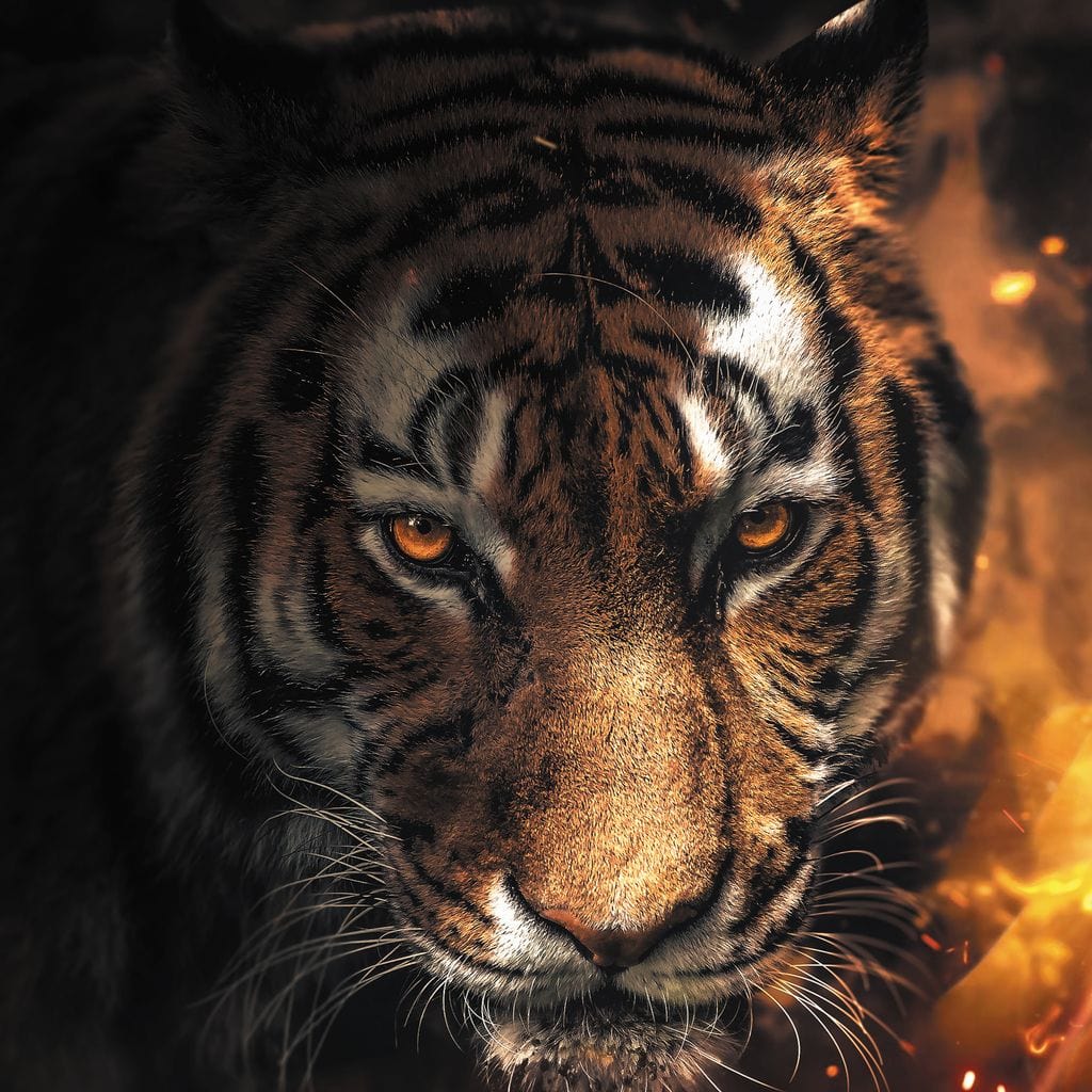tablou canvas cu un tigru in umbra, pe fundal luminos cu scantei redat in nuante calde 