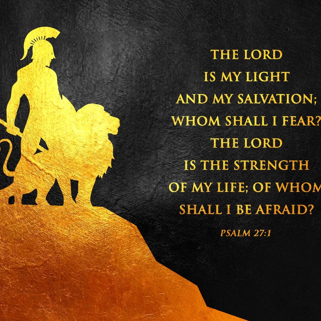 Tablou Canvas Premium LuxCanva® F1030, Puterea Unui Razboinic , Salvare, Lumina, Divin, Luptator, Leu, Living Room, Birou, Culori vibrante