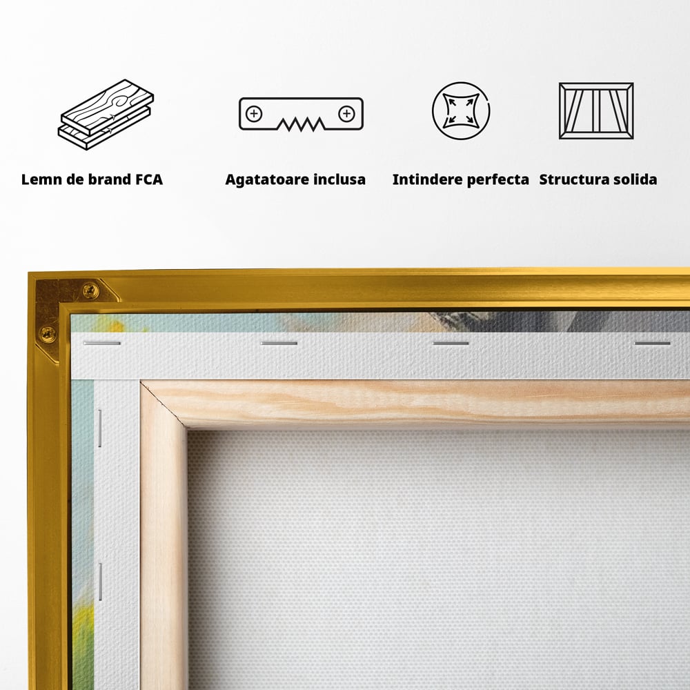 Tablou Canvas Premium LuxCanva® C1241 Calatorie In Spatiu , Relaxare, Living Room, Culori Vibrante