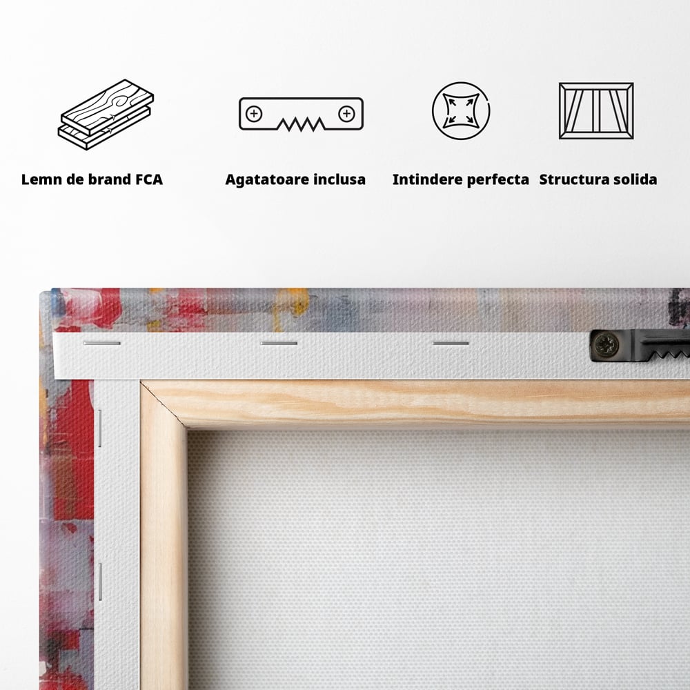 Tablou Canvas Premium LuxCanva® C1246 Culori Abstracte Pictate , Relaxare, Living Room, Culori Vibrante