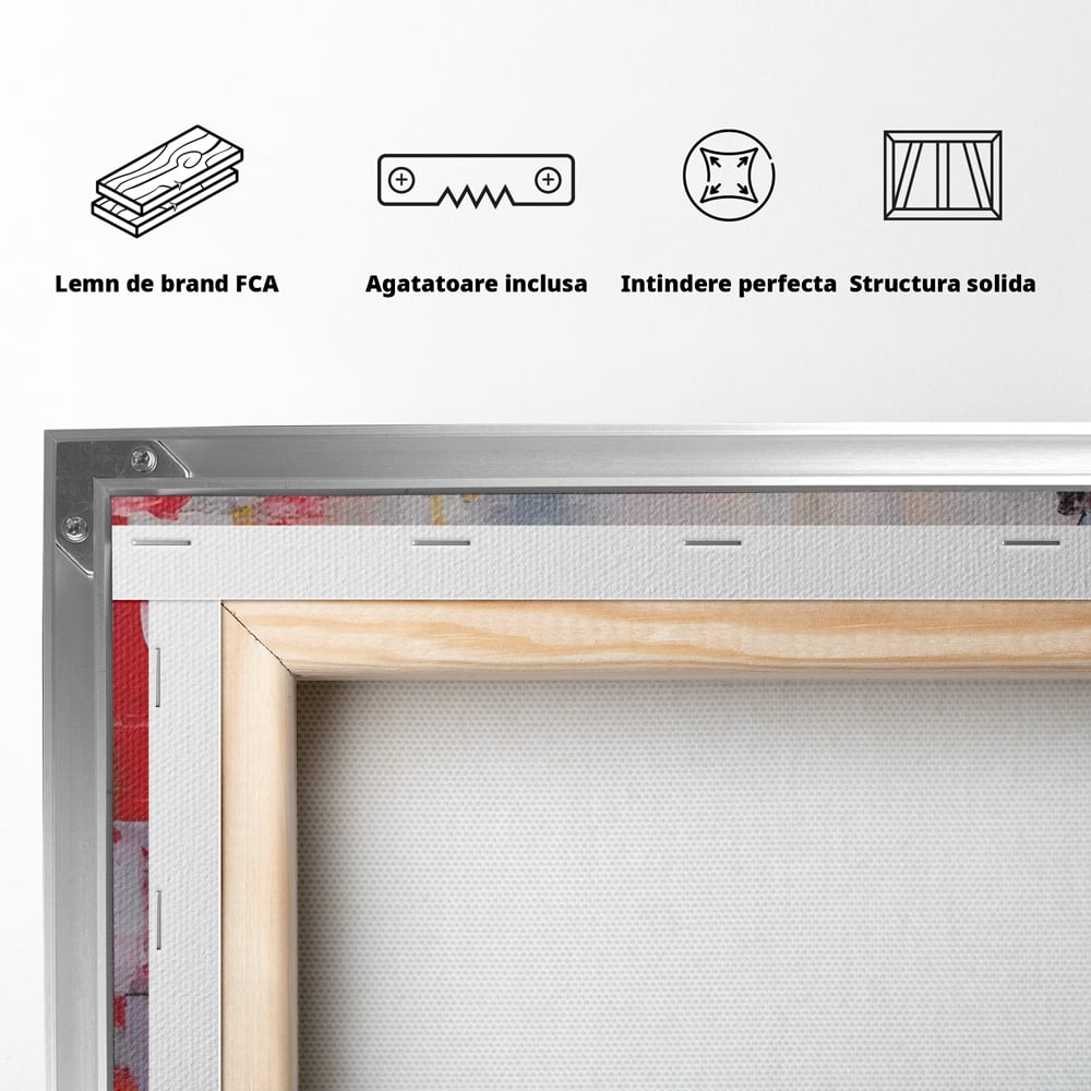 Tablou Canvas Premium LuxCanva® C1246 Culori Abstracte Pictate , Relaxare, Living Room, Culori Vibrante