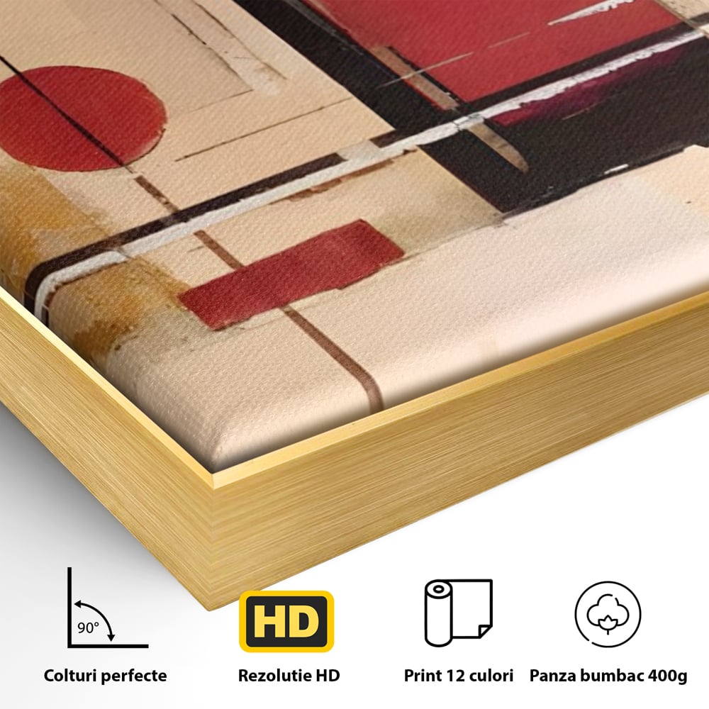 Tablou Canvas Premium LuxCanva® C1247 Pictura Iluzie Abstracta , Relaxare, Living Room, Culori Vibrante