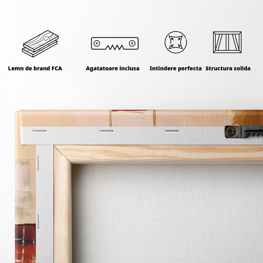 Tablou Canvas Premium LuxCanva® C1247 Pictura Iluzie Abstracta , Relaxare, Living Room, Culori Vibrante