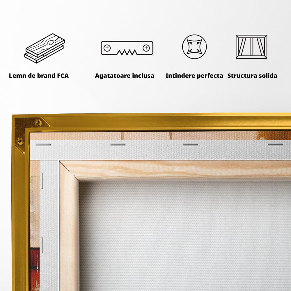 Tablou Canvas Premium LuxCanva® C1247 Pictura Iluzie Abstracta , Relaxare, Living Room, Culori Vibrante