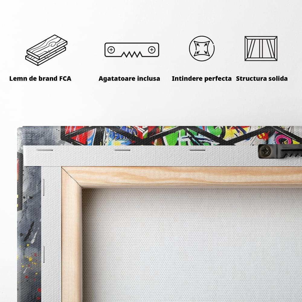 Tablou Canvas Premium, LuxCanva® C1253, Funny Rubik Cube, Relaxare, Game Room, Kids Room Culori Vibrante