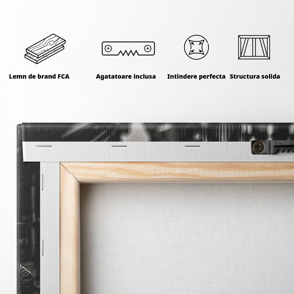 Tablou Canvas Premium, LuxCanva® C1256, Fancy BMW Car, Relaxare, Game Room, Culori Vibrante