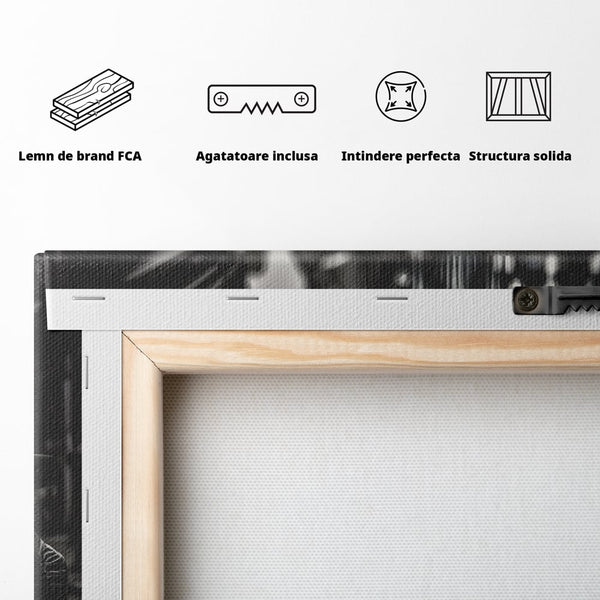 Tablou Canvas Premium, LuxCanva® C1256, Fancy BMW Car, Relaxare, Game Room, Culori Vibrante