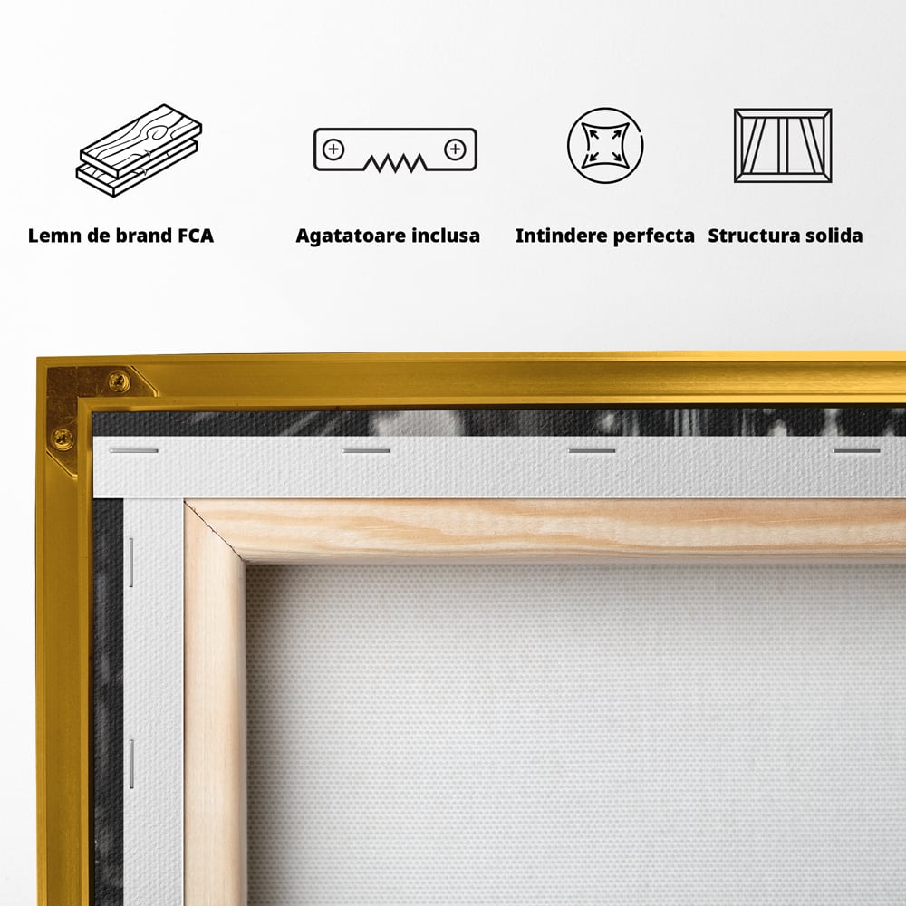 Tablou Canvas Premium, LuxCanva® C1256, Fancy BMW Car, Relaxare, Game Room, Culori Vibrante