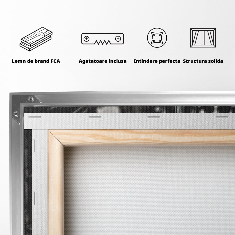 Tablou Canvas Premium, LuxCanva® C1256, Fancy BMW Car, Relaxare, Game Room, Culori Vibrante