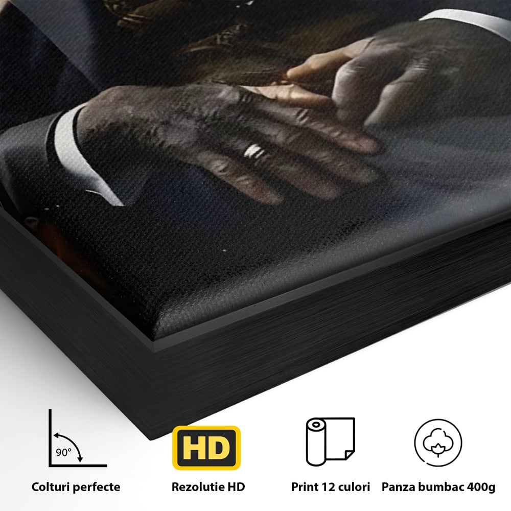 Tablou Canvas Premium, LuxCanva® C1262, The Godfather Of The Apes, Relaxare, Living Room, Culori Vibrante