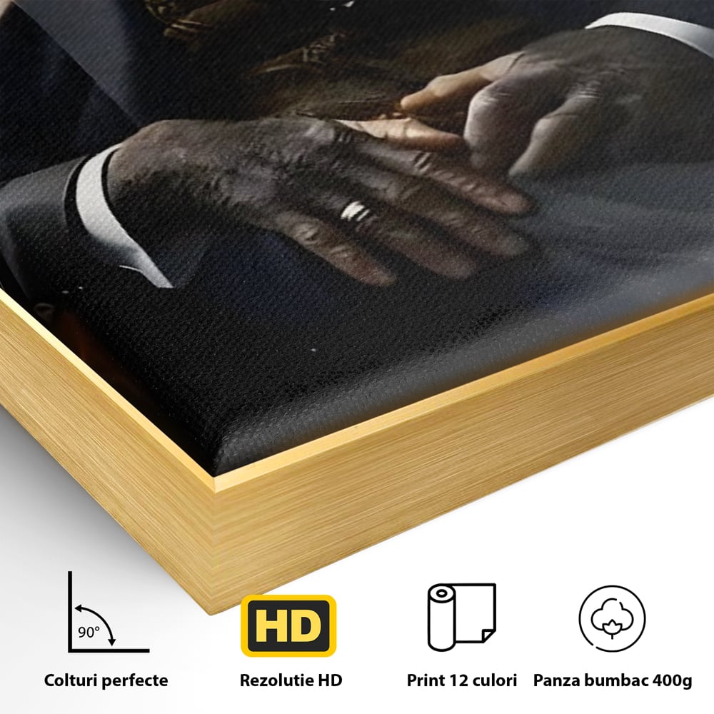 Tablou Canvas Premium, LuxCanva® C1262, The Godfather Of The Apes, Relaxare, Living Room, Culori Vibrante