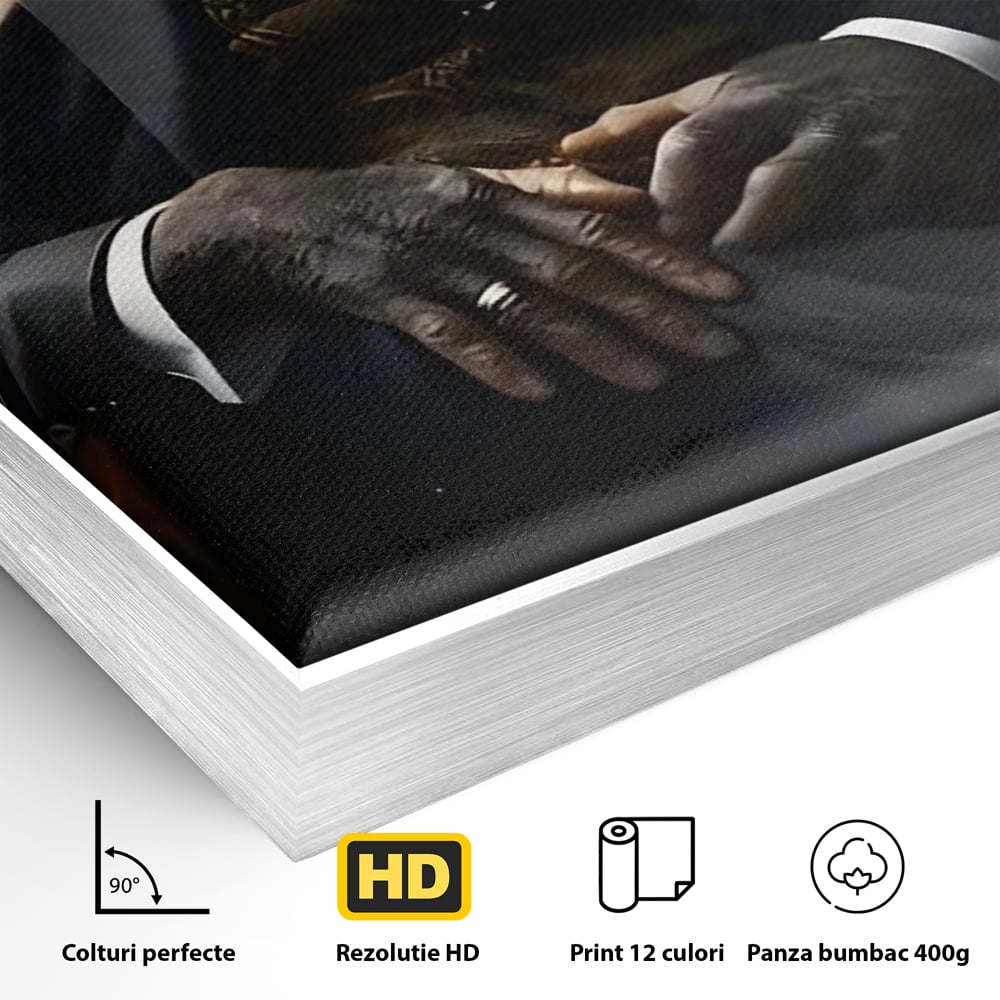 Tablou Canvas Premium, LuxCanva® C1262, The Godfather Of The Apes, Relaxare, Living Room, Culori Vibrante
