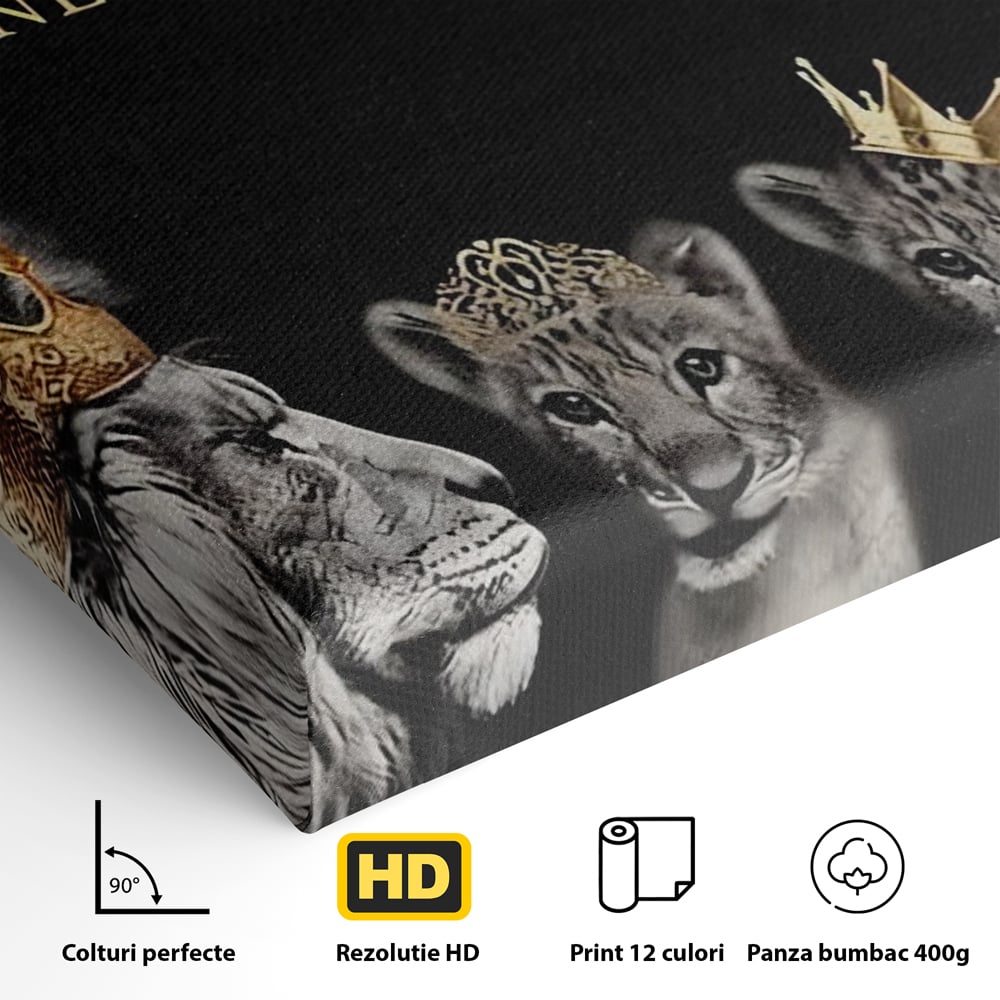 Tablou Canvas Premium, LuxCanva® C1264, The Family Portrait, Relaxare, Unity, Portrait, Living Room, Culori Vibrante